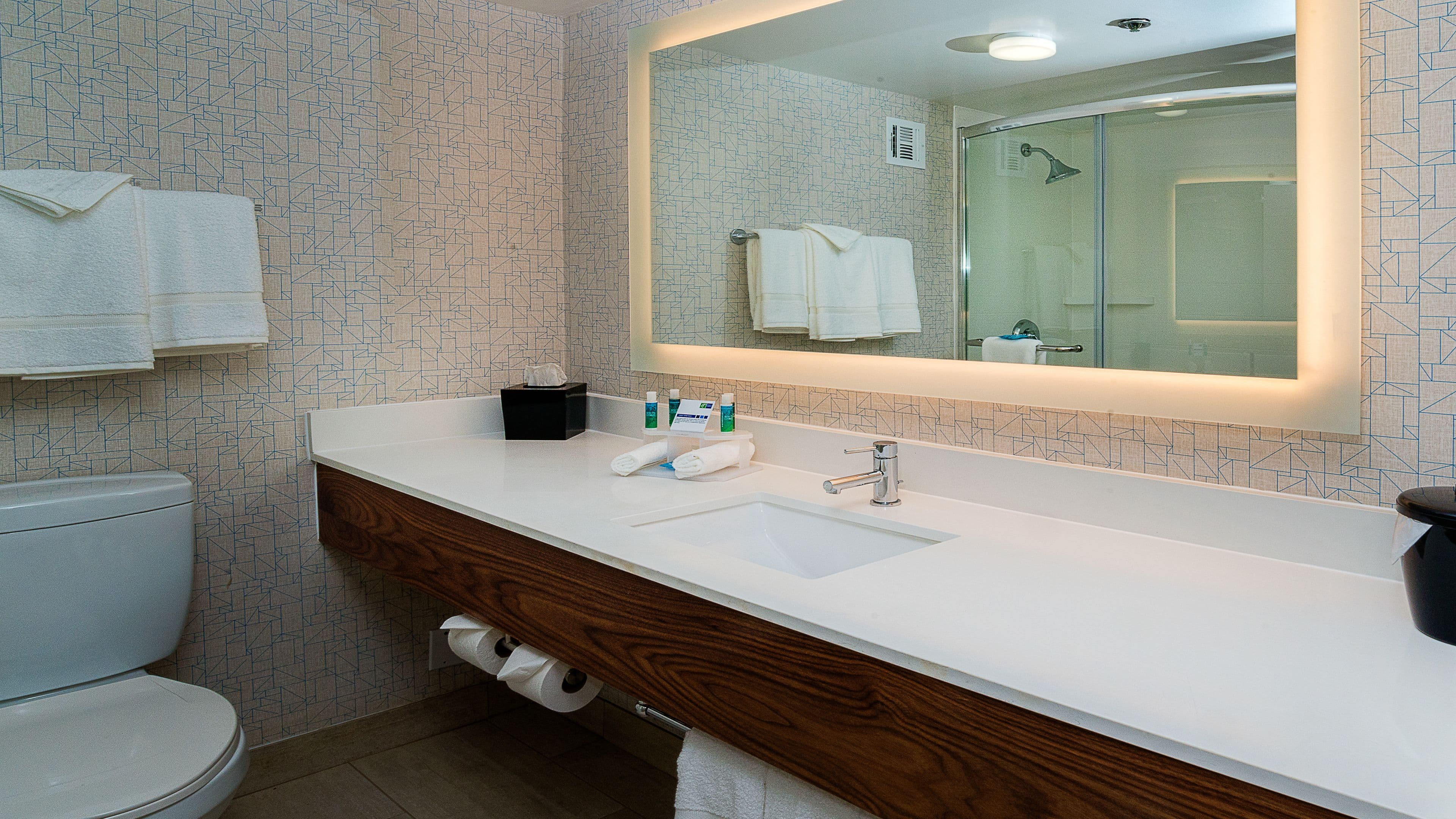 Holiday Inn Express Fullerton - Anaheim - Image 4