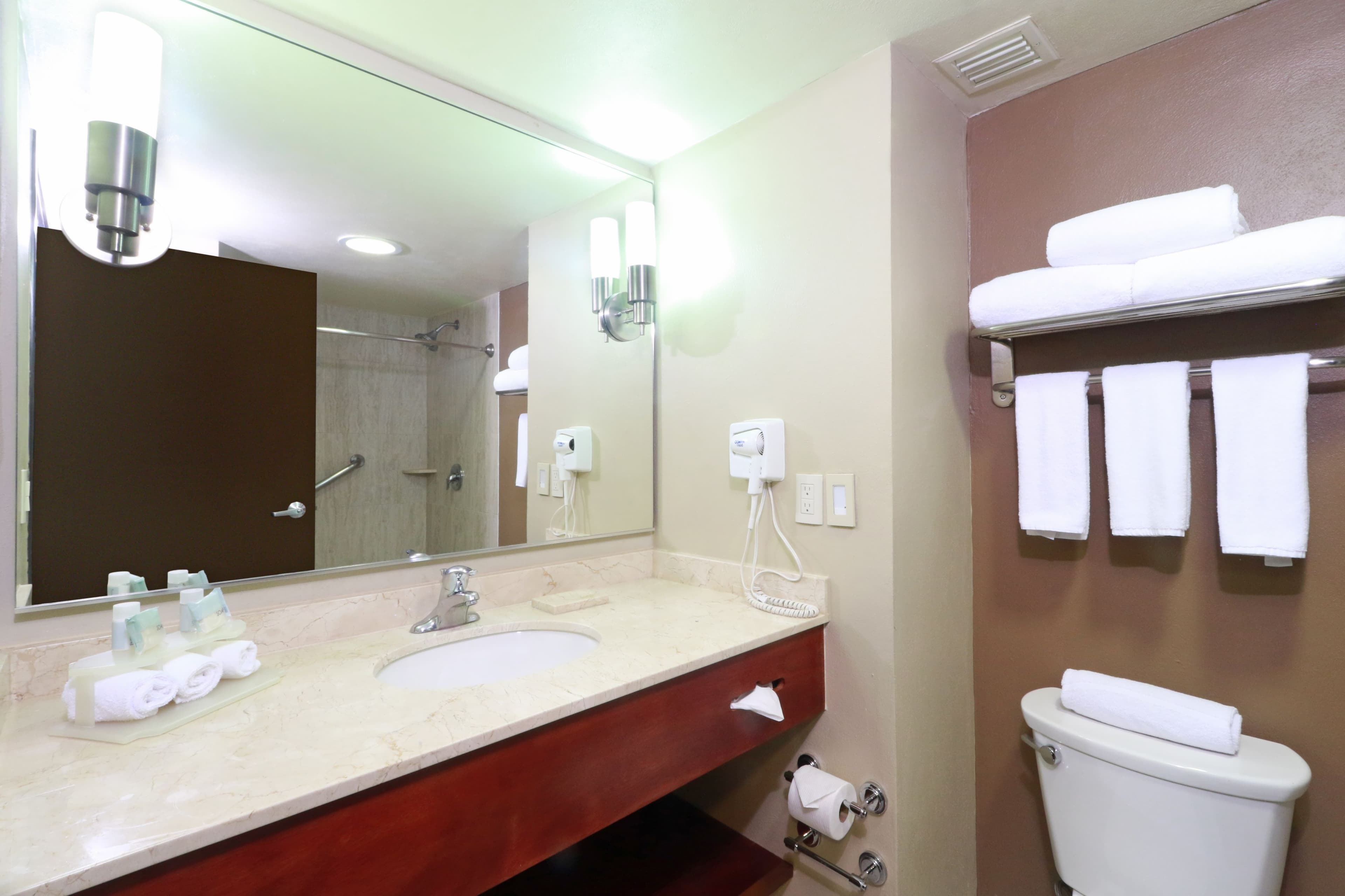 Holiday Inn Express Guadalajara Aeropuerto — 8