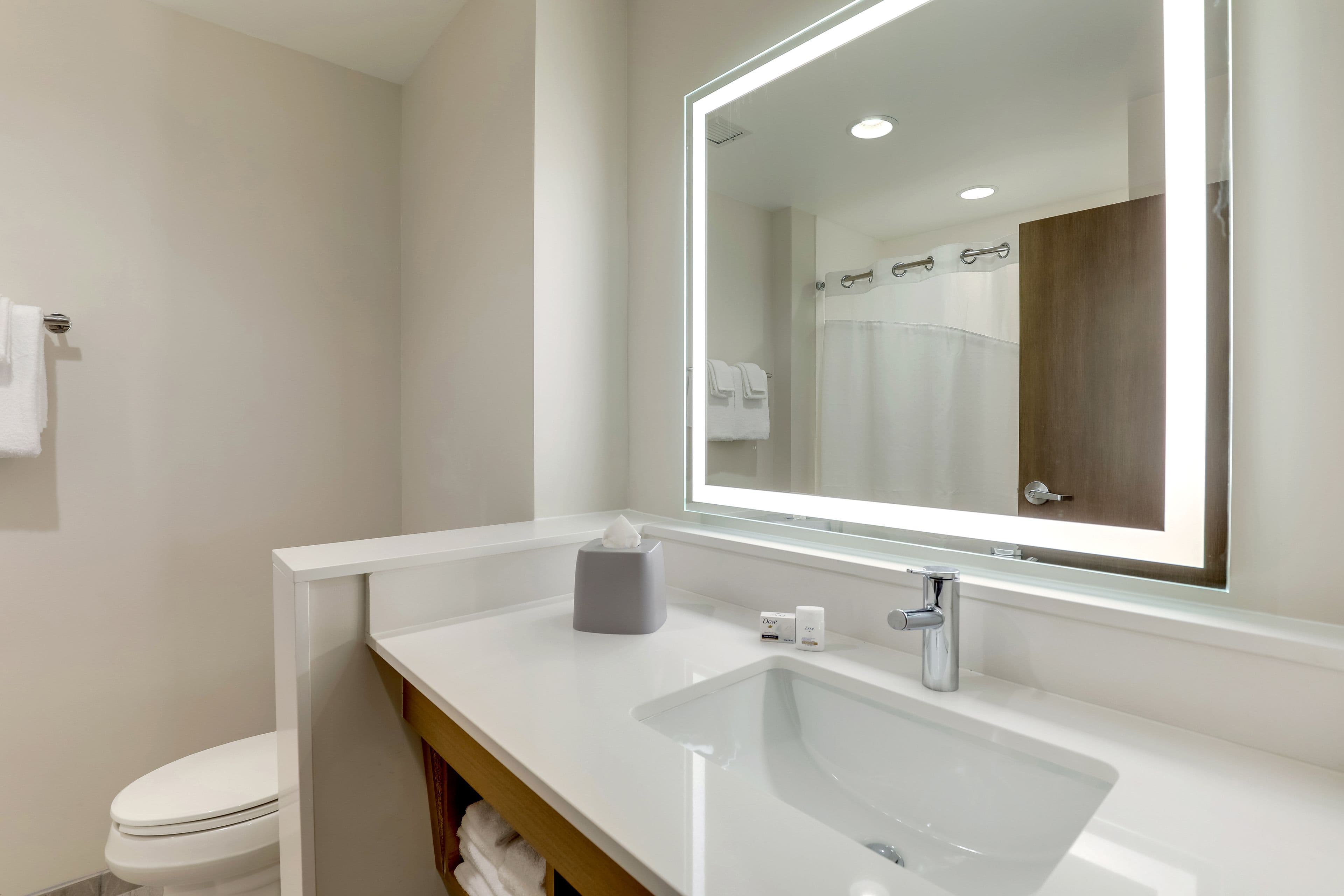 Holiday Inn Express Holly Springs - Raleigh Area - Image 5