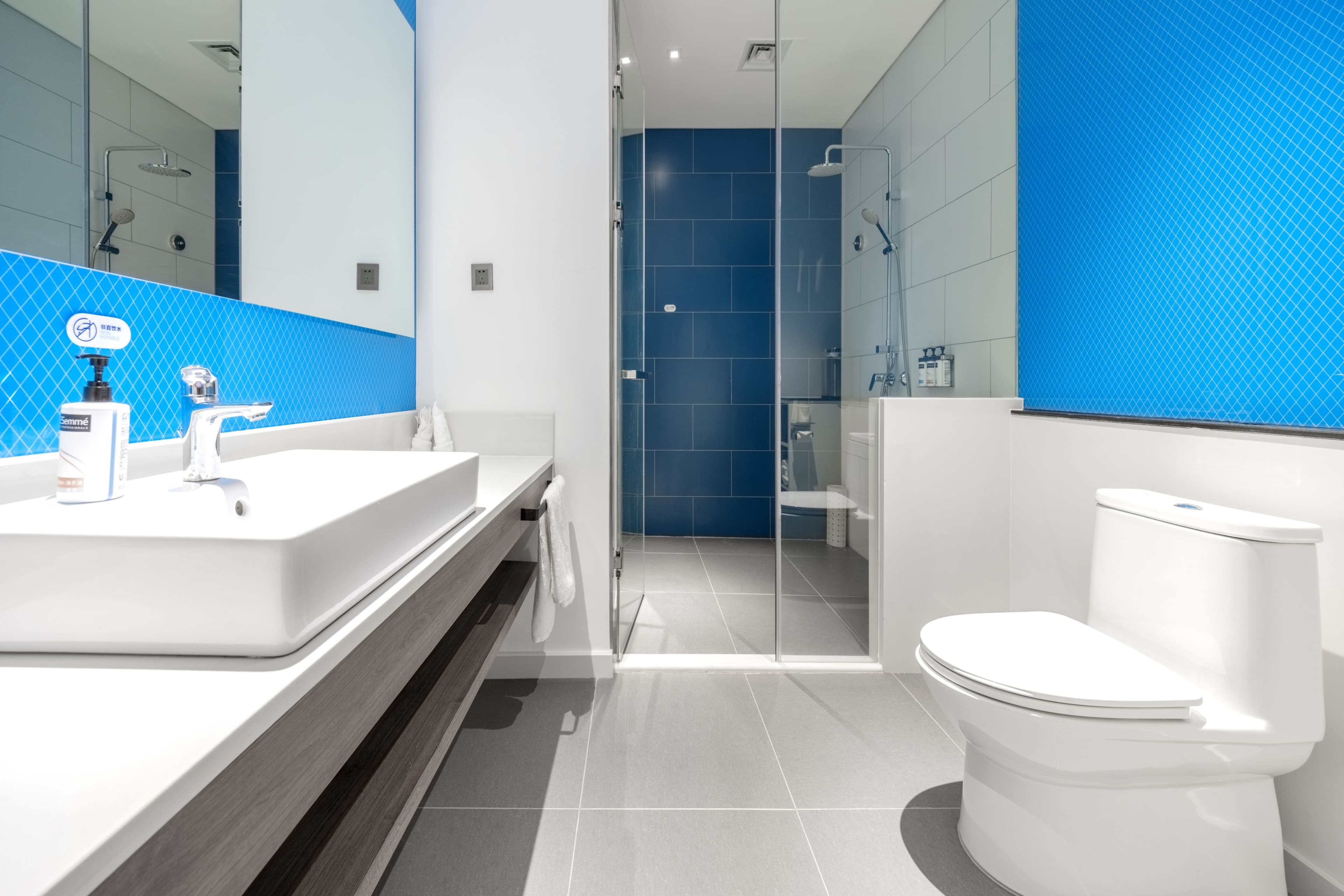 Holiday Inn Express Horgos — 9