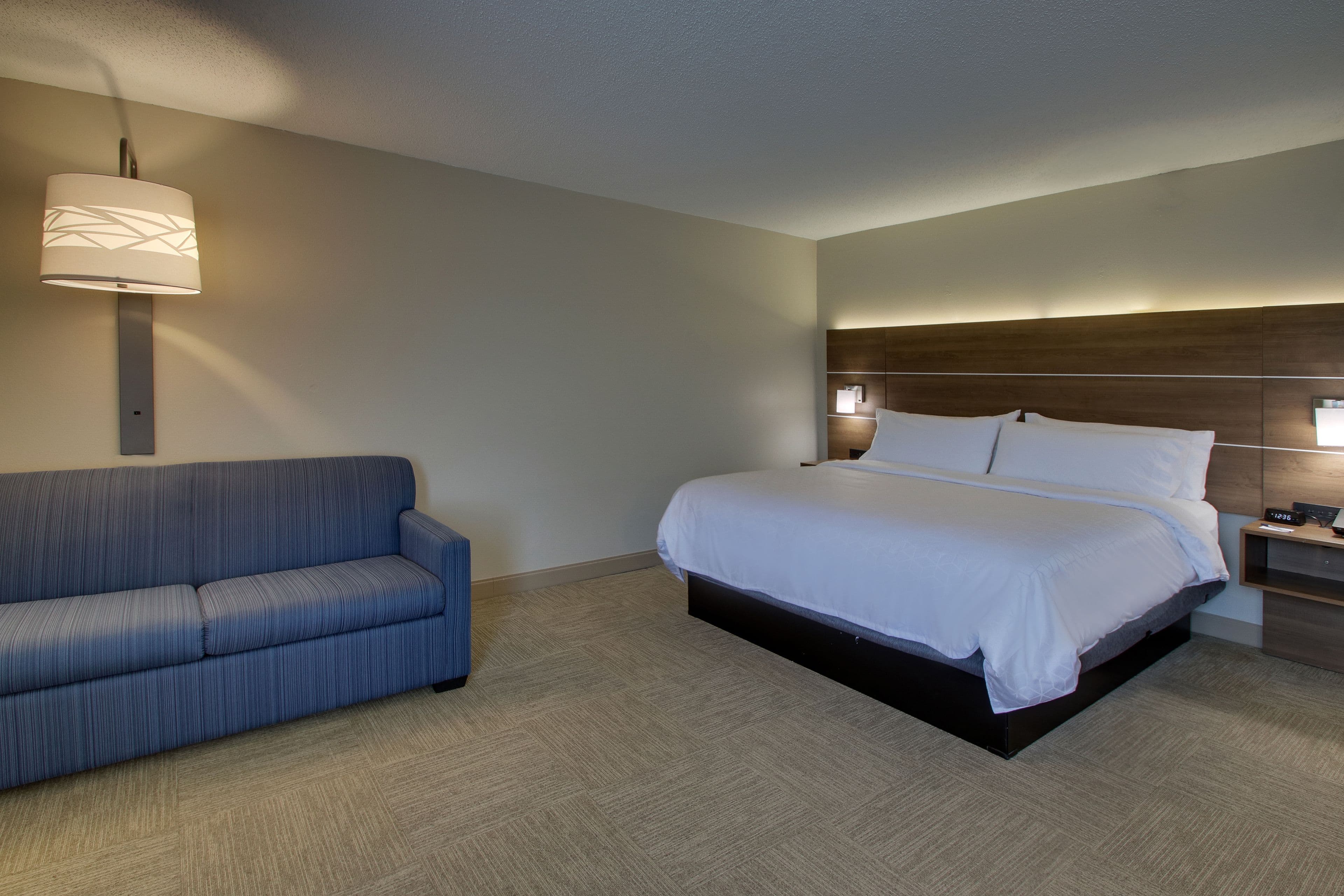 Holiday Inn Express Horse Cave — 21