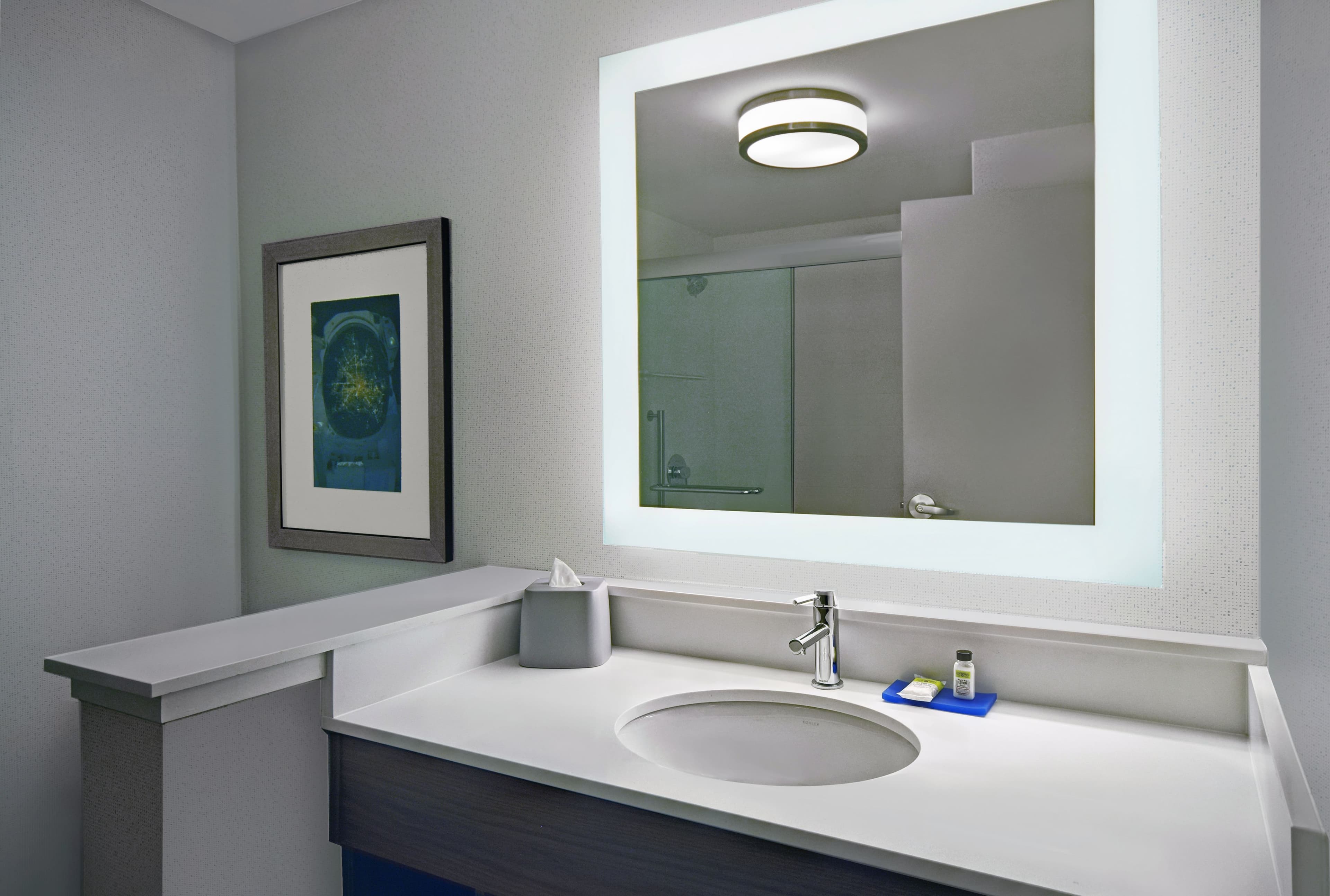 Holiday Inn Express Houston - Galleria Area — 8