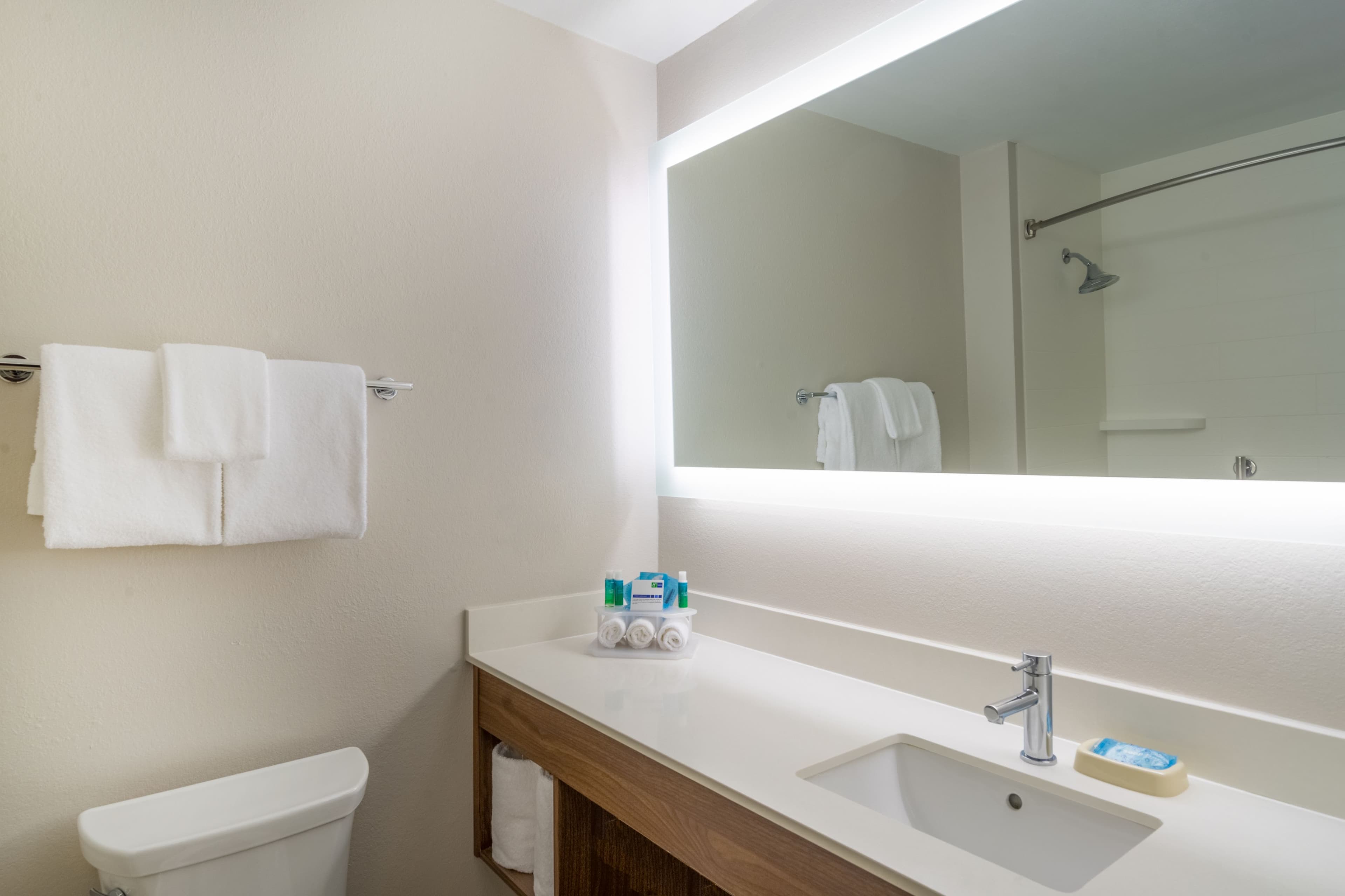 Holiday Inn Express Howe (Sturgis, Mi) - Image 2