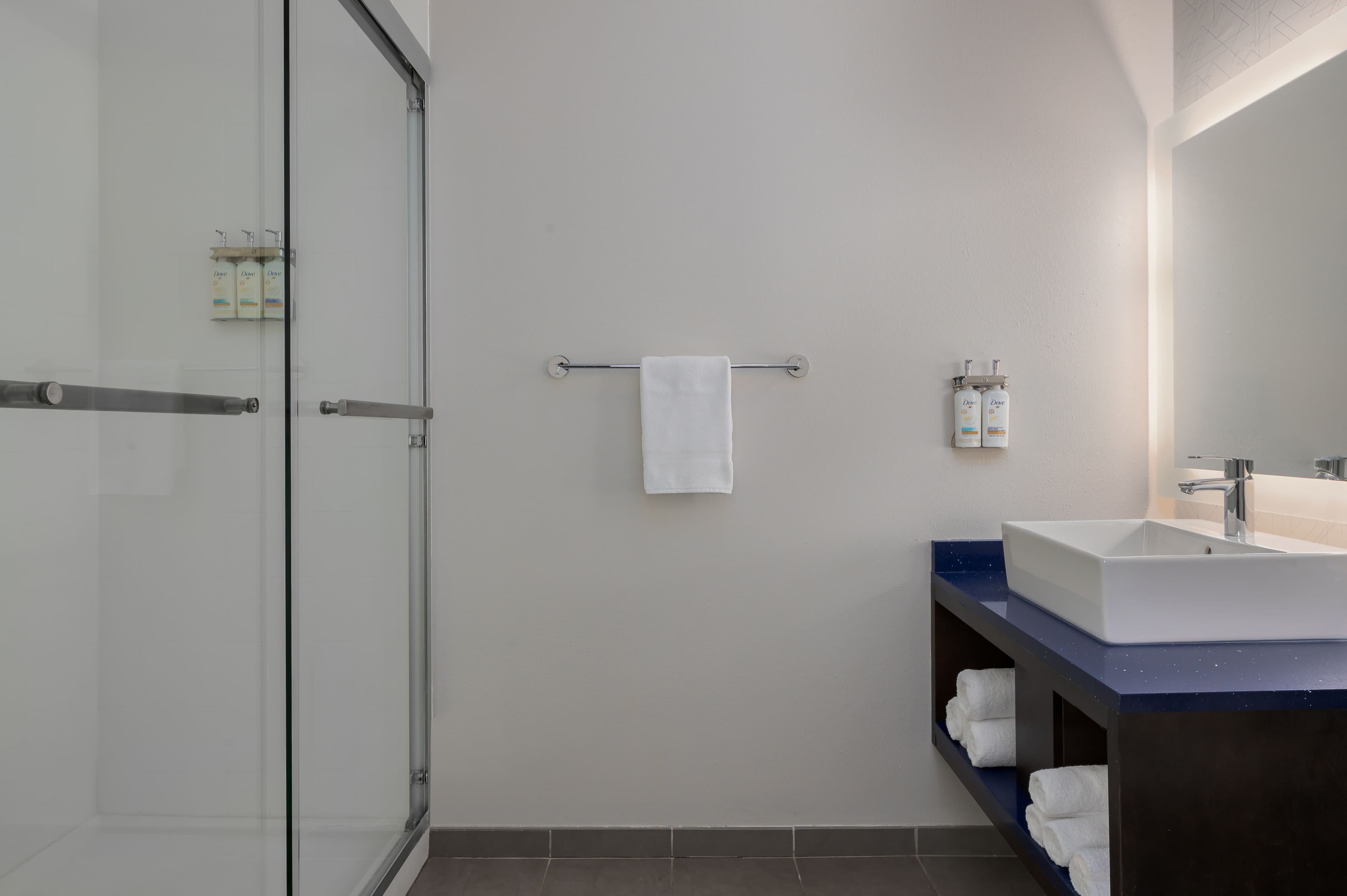 Holiday Inn Express Lexington - Horse Park Area — 9