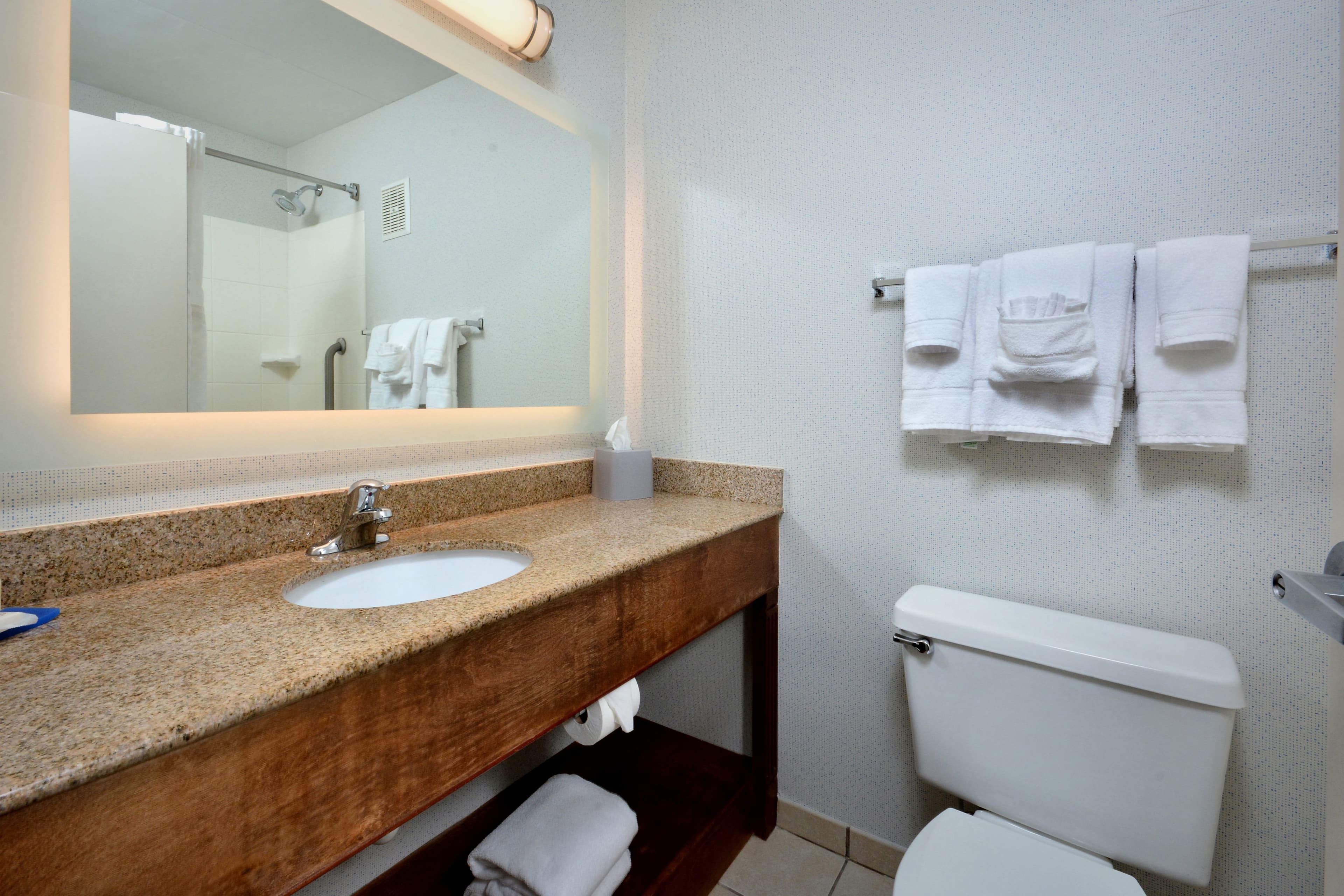 Holiday Inn Express Lynchburg - Image 4