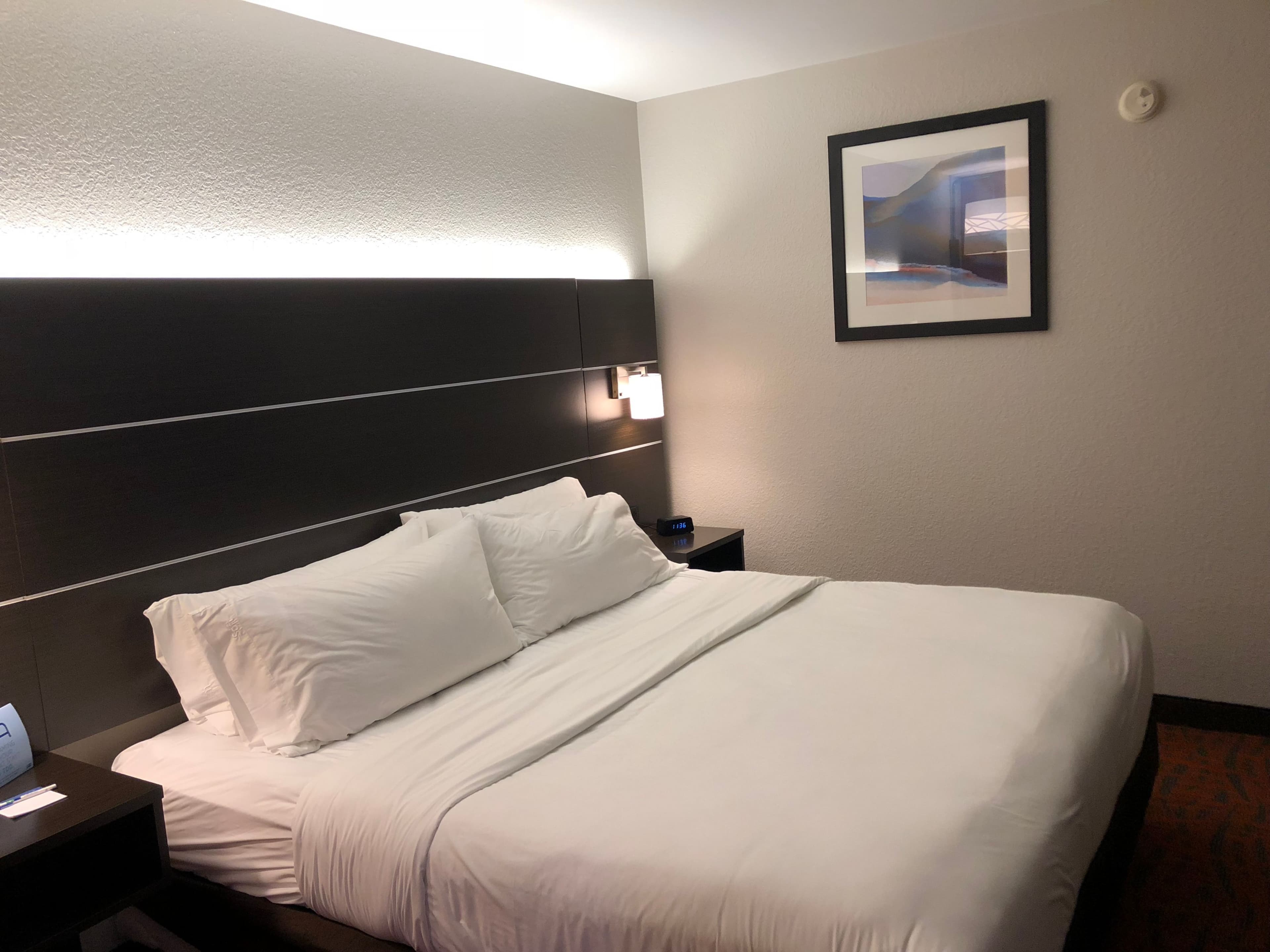 Holiday Inn Express Metropolis — 15