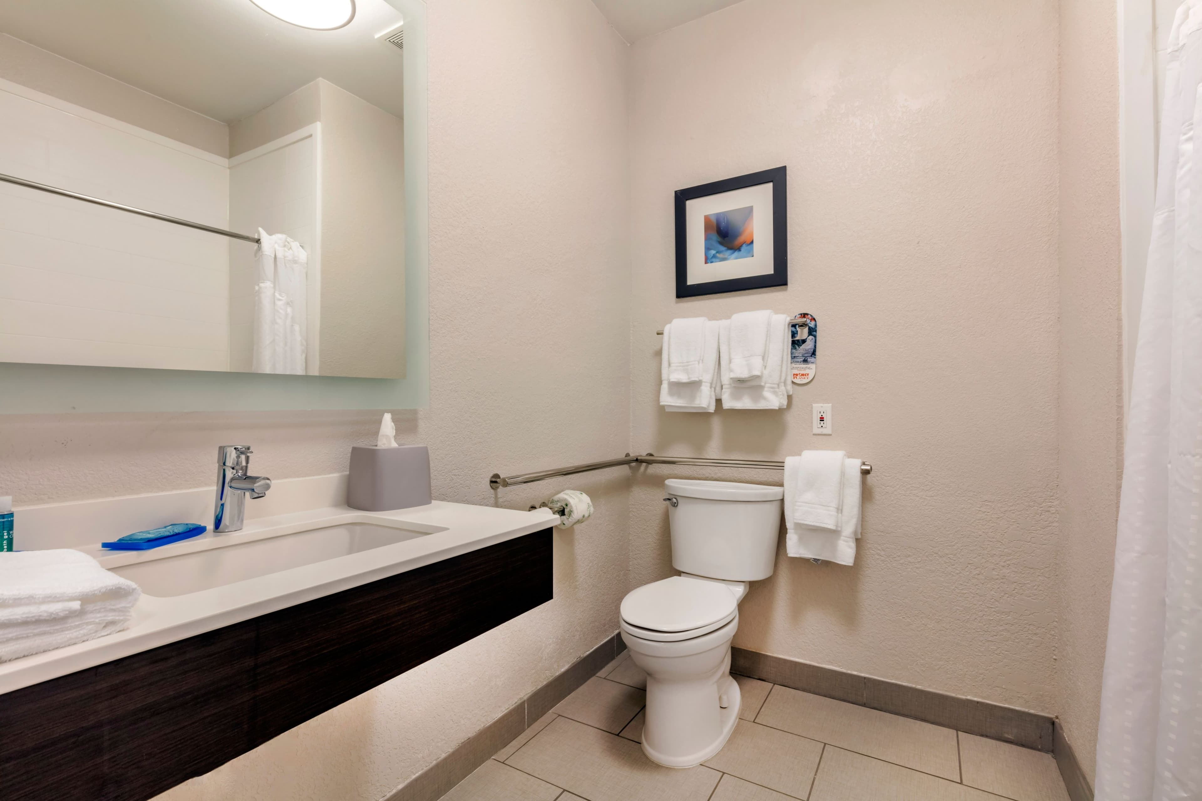 Holiday Inn Express Metropolis — 9