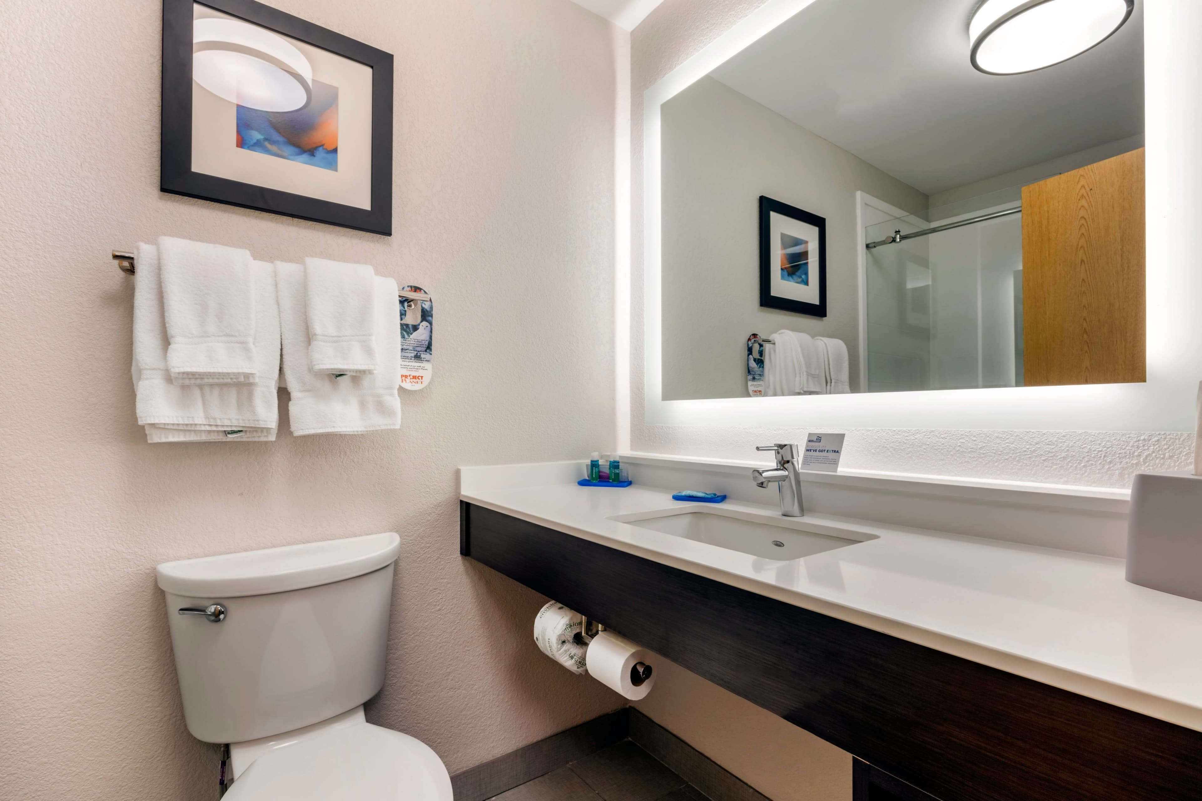 Holiday Inn Express Metropolis - Image 4