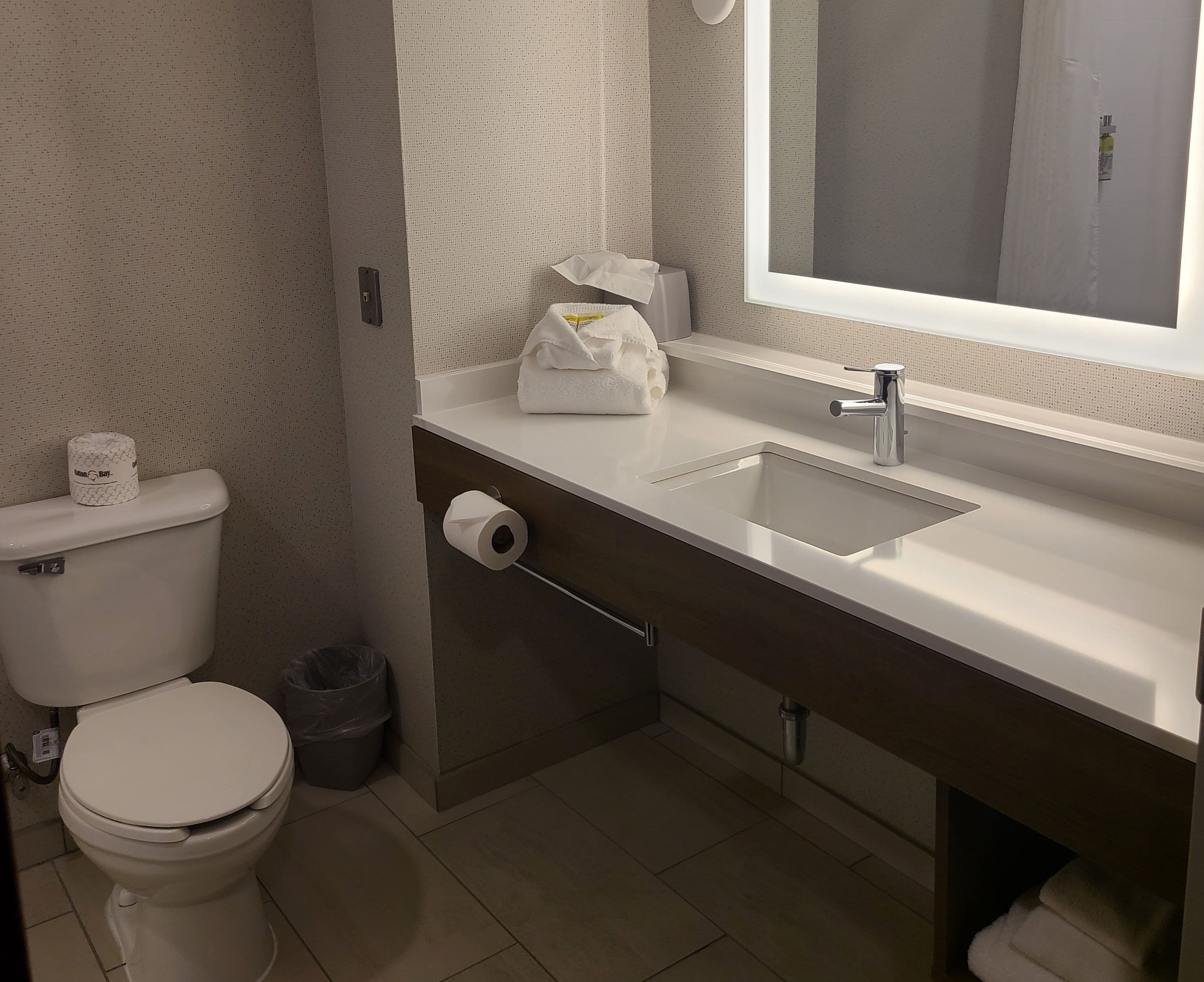 Holiday Inn Express Lordstown-Newton Falls/Warren — 8