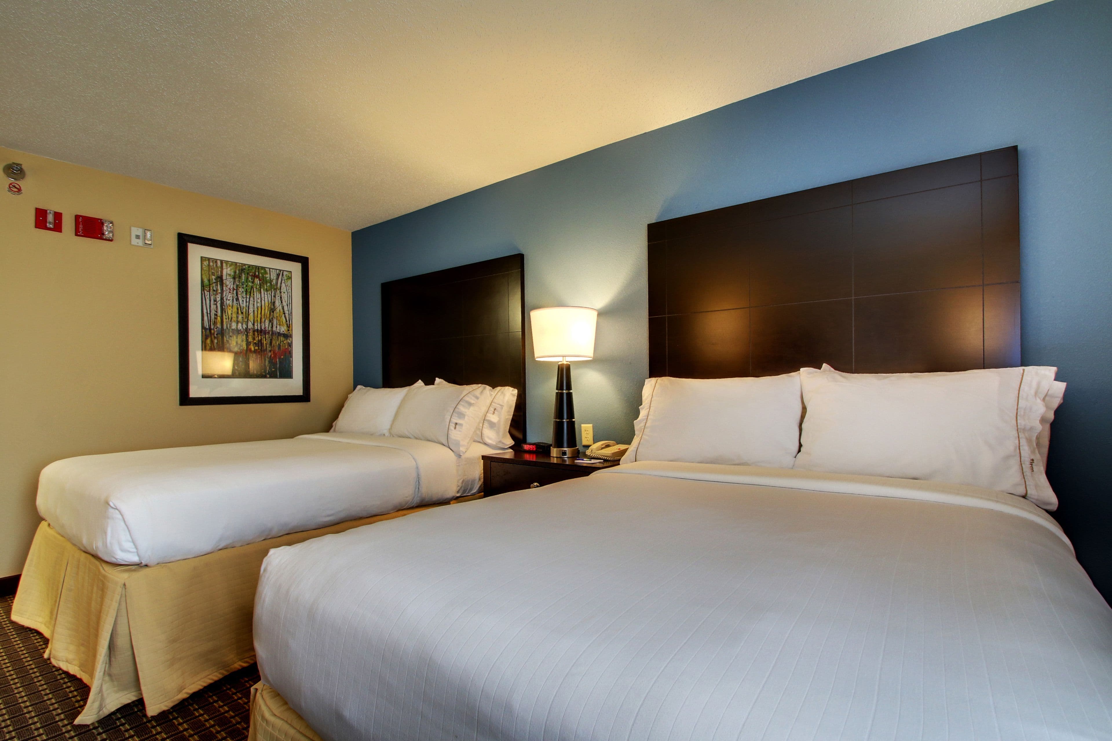 Holiday Inn Express Fort Campbell-Oak Grove — 9