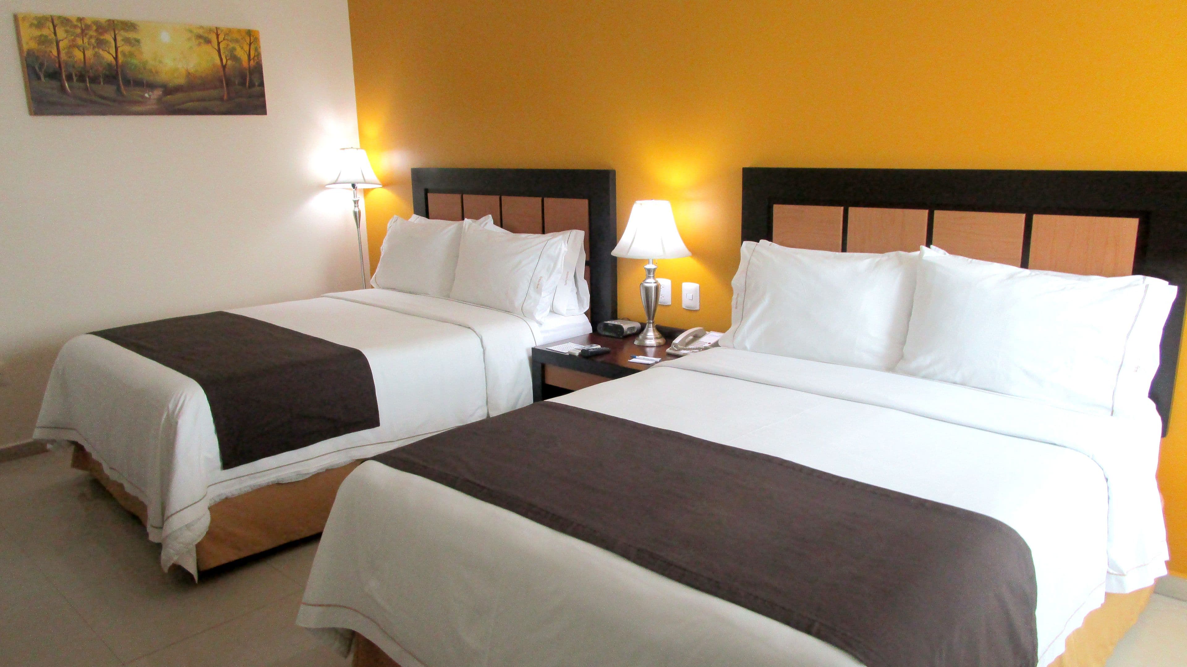Holiday Inn Express Paraiso Dos Bocas — 12