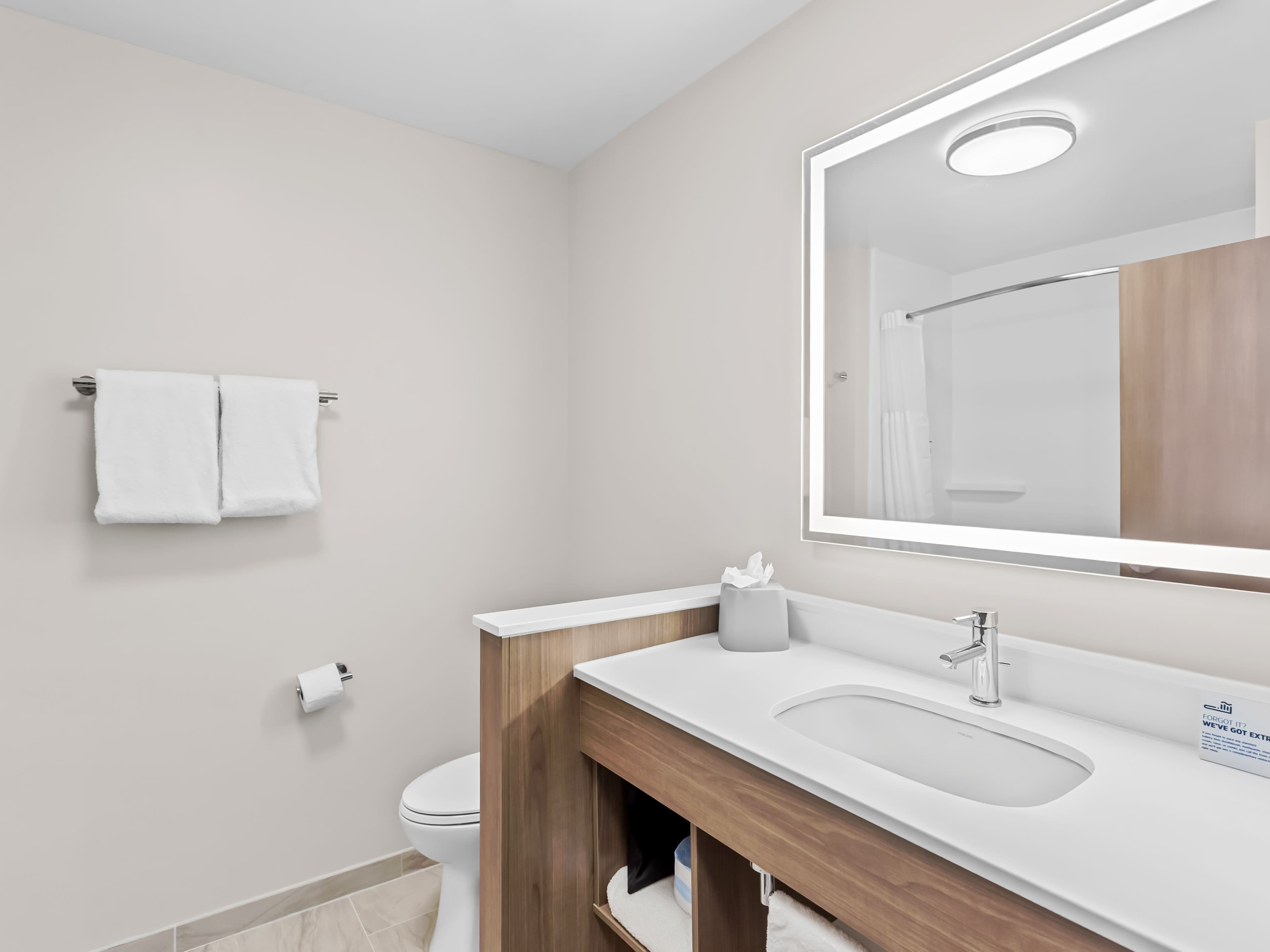 Holiday Inn Express Peotone - Image 4