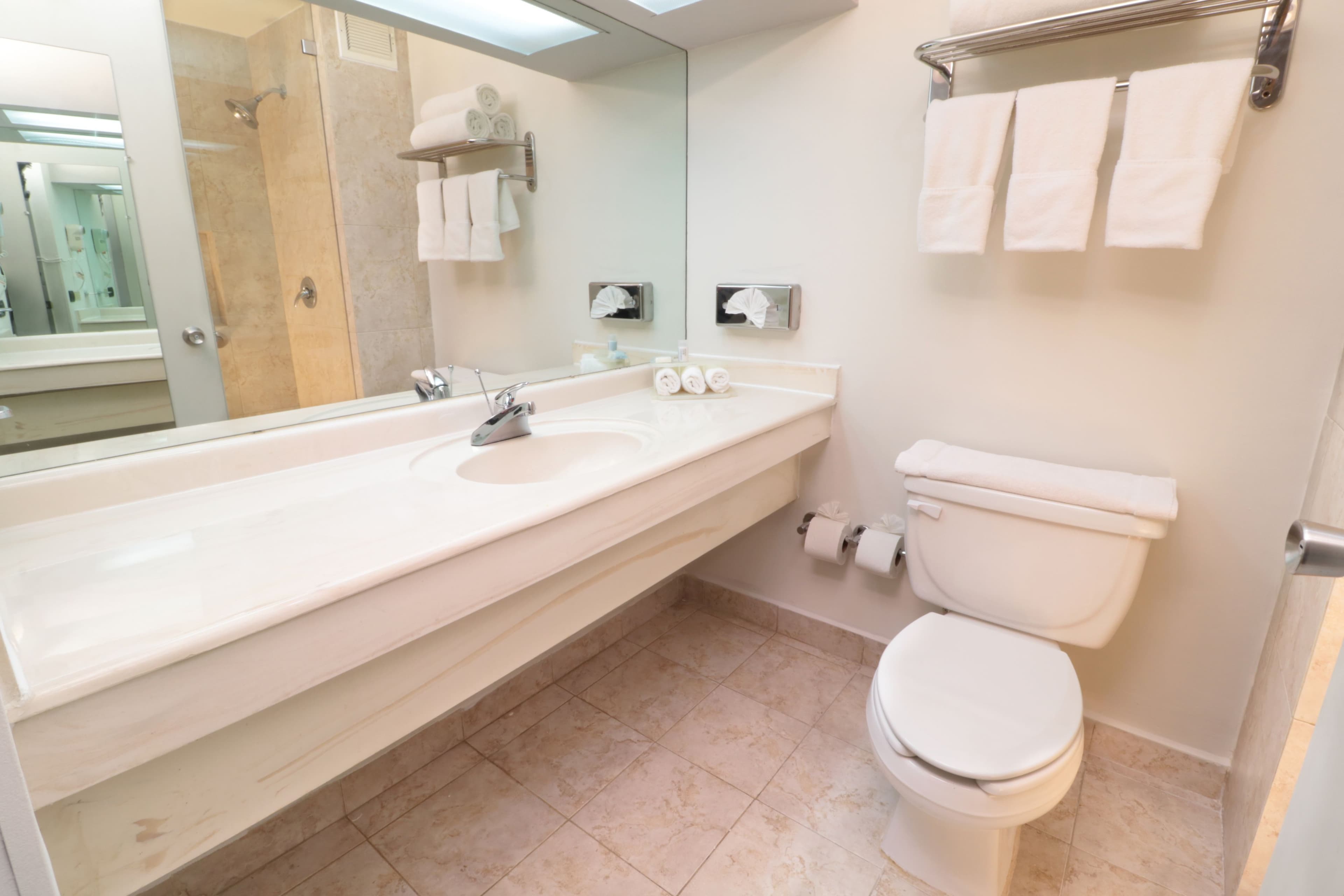 Holiday Inn Express Piedras Negras — 17