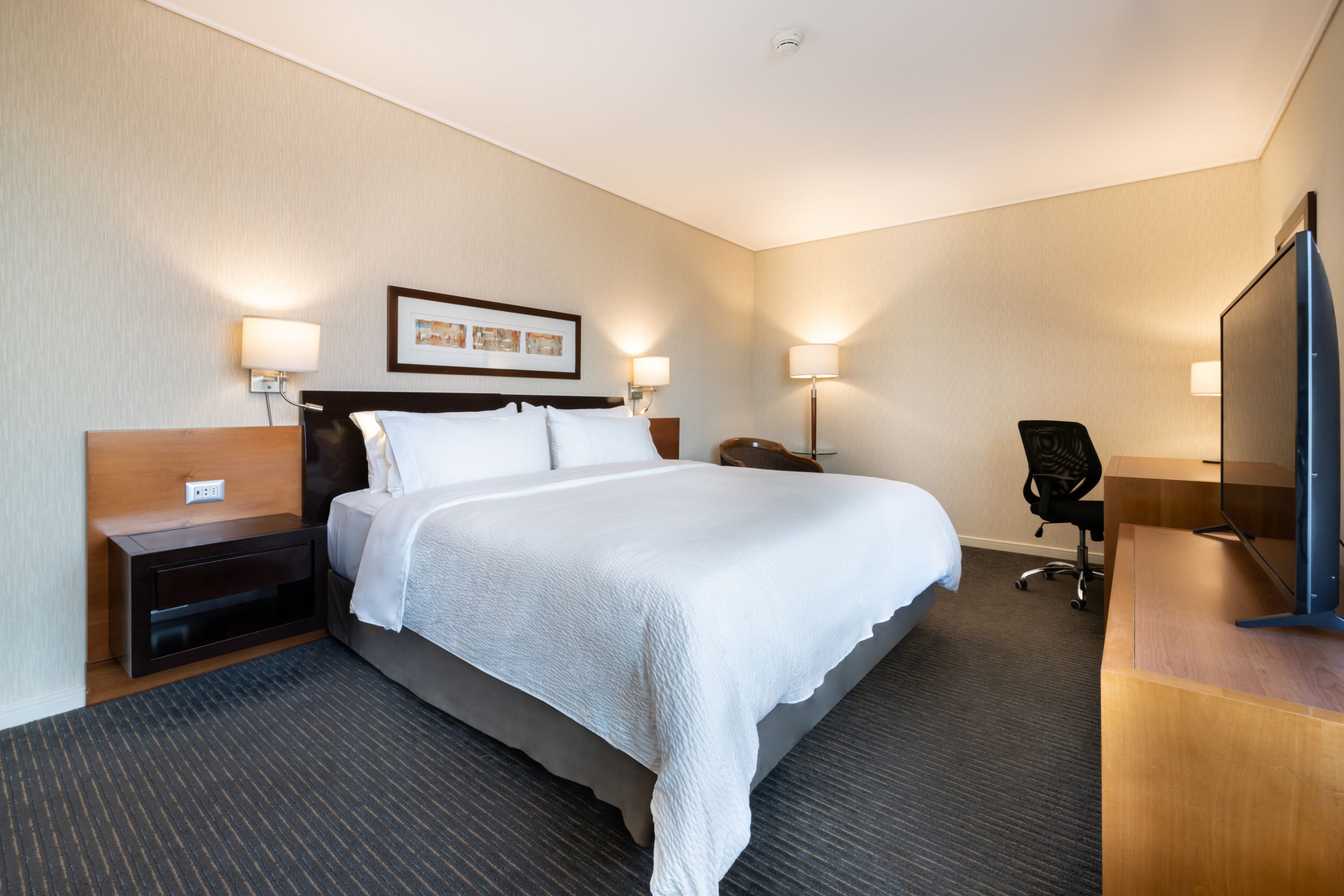 Holiday Inn Express Santiago Las Condes - Image 4