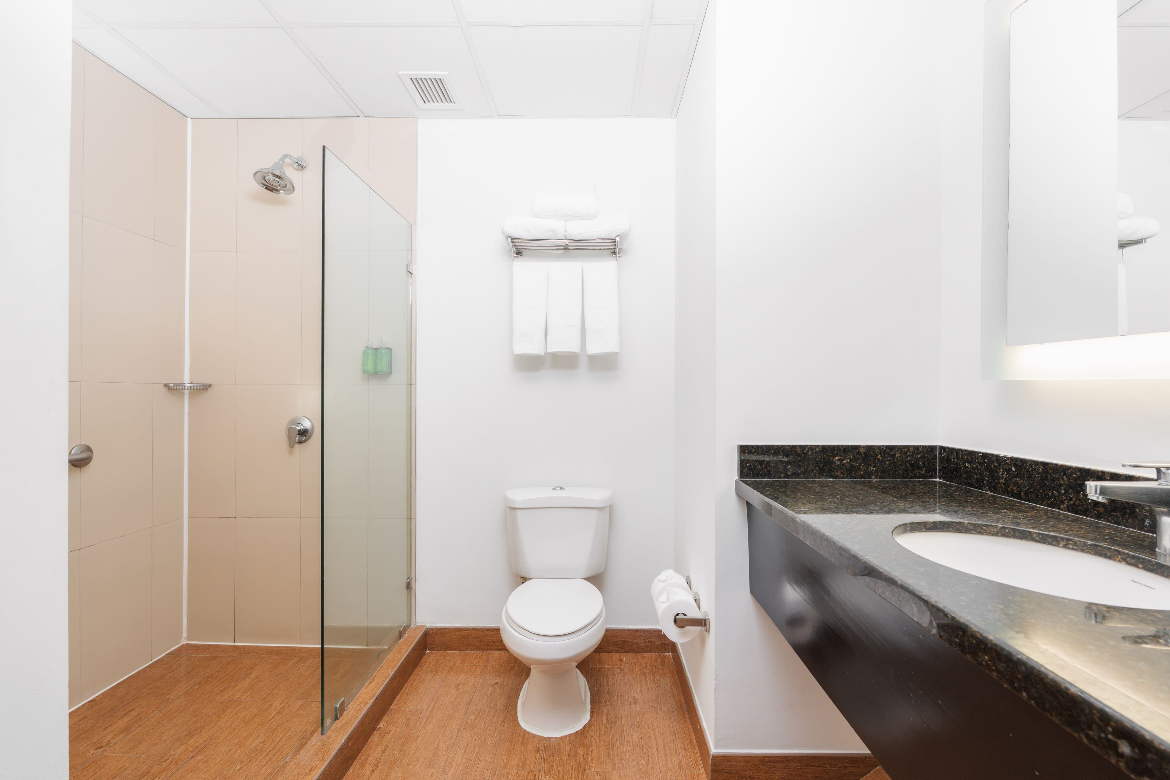 Holiday Inn Express Tegucigalpa — 9