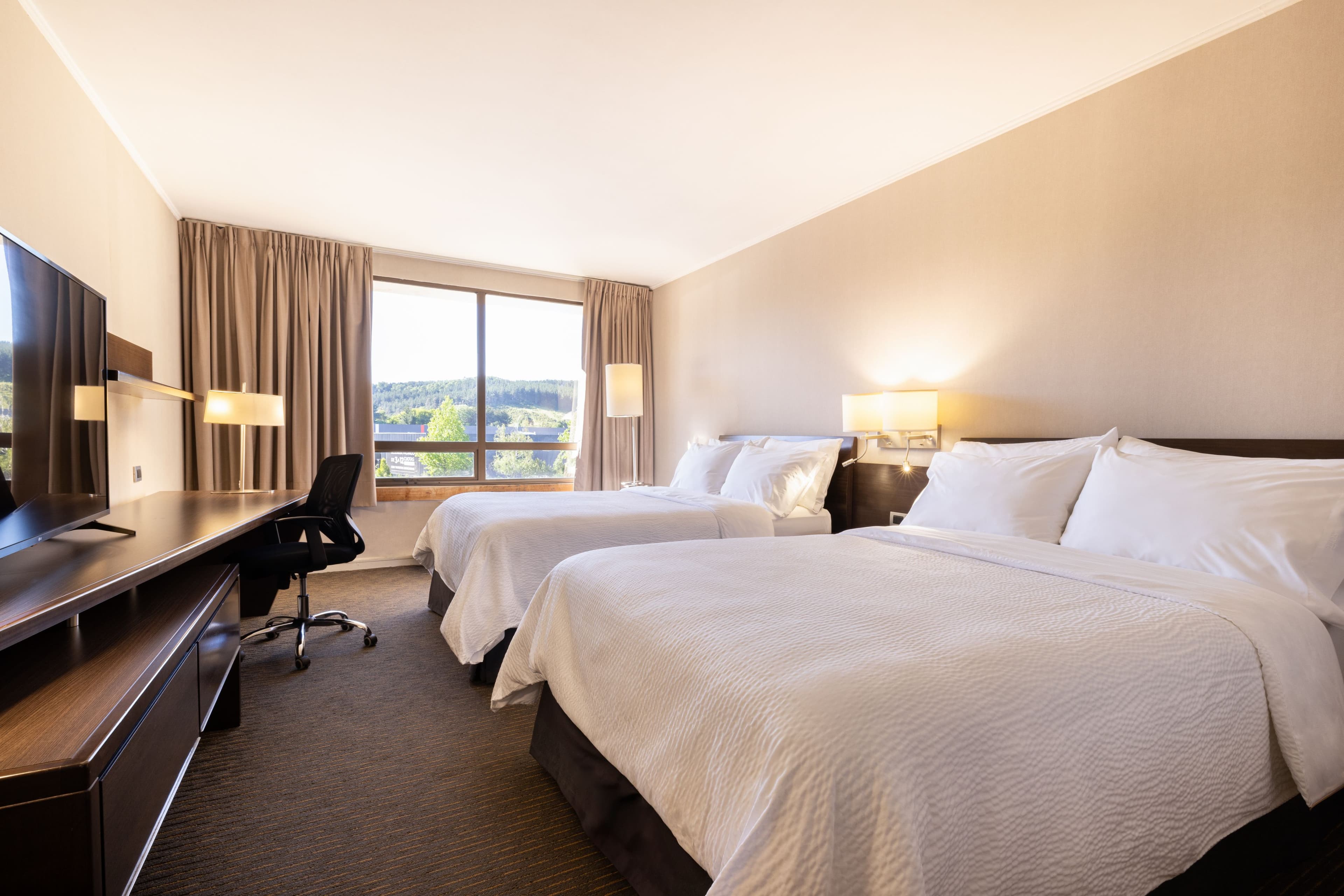 Holiday Inn Express Temuco — 29
