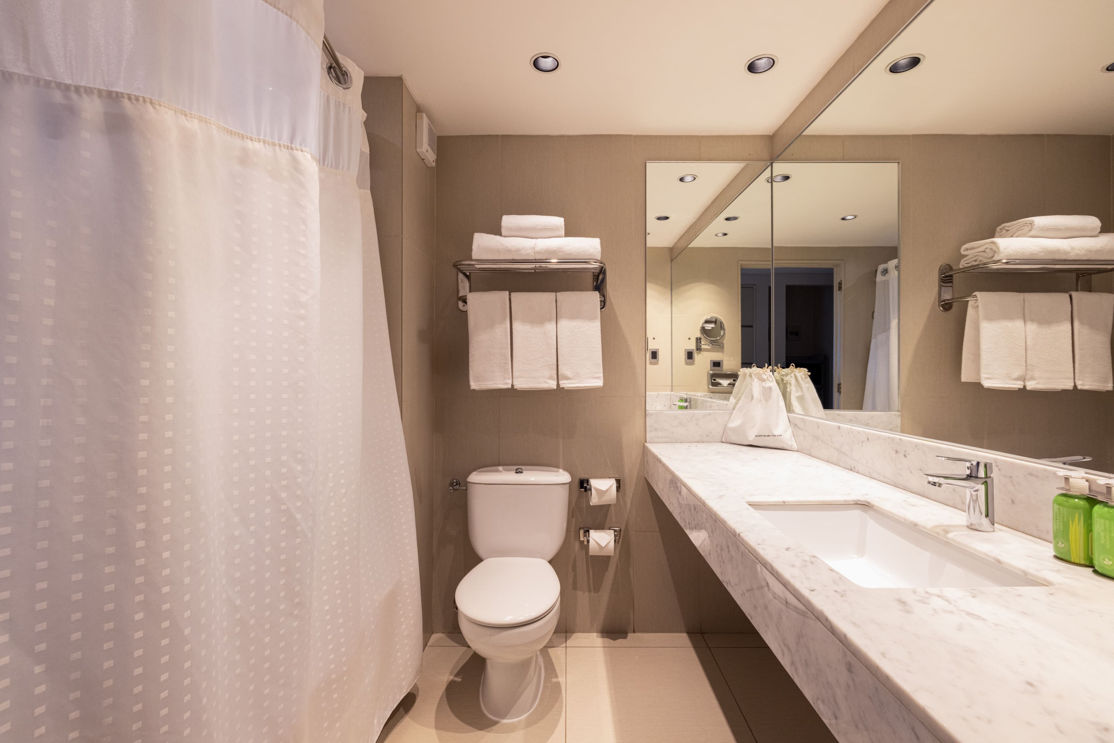 Holiday Inn Express Temuco - Image 5