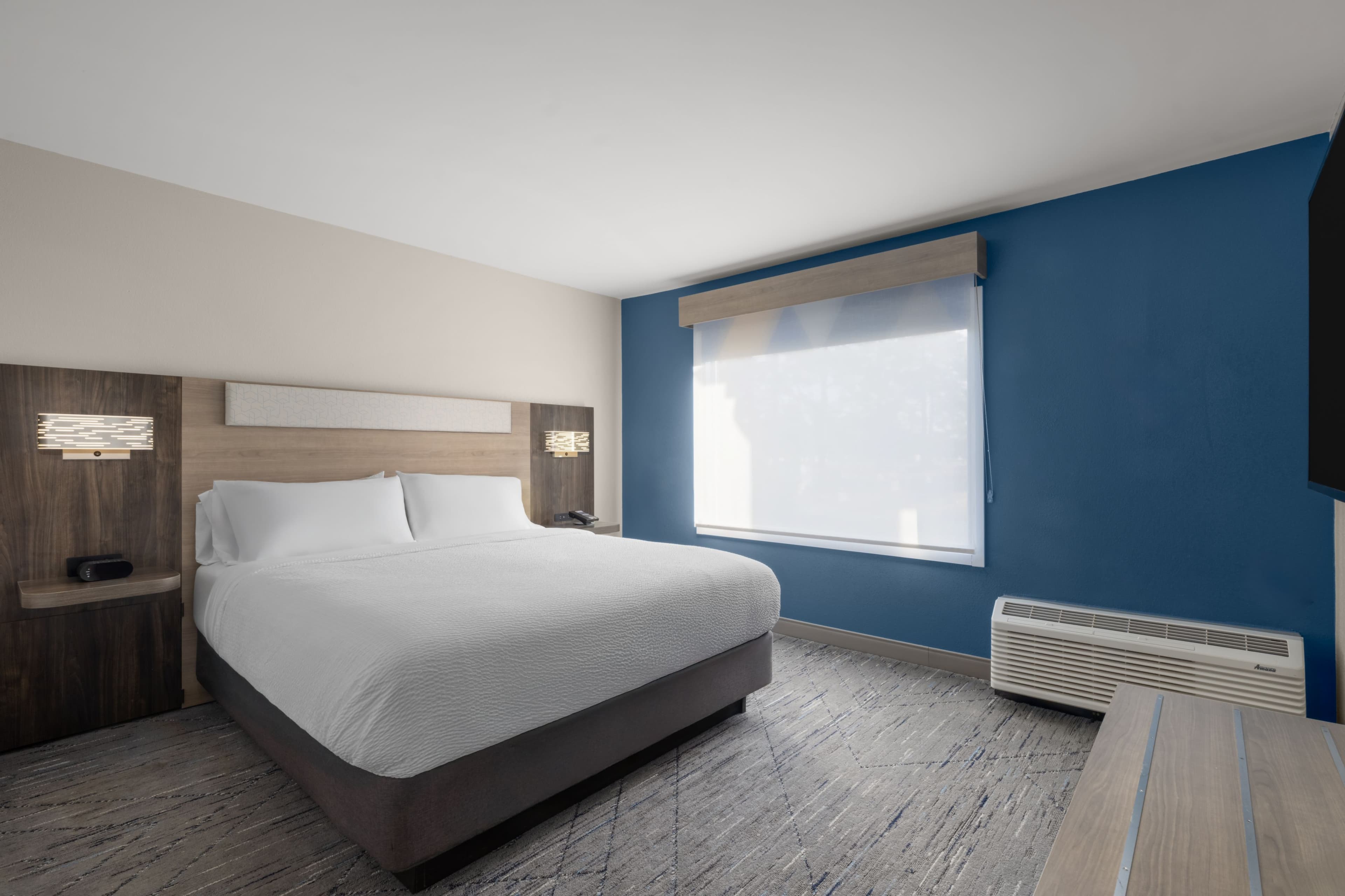 Holiday Inn Express Tifton — 36