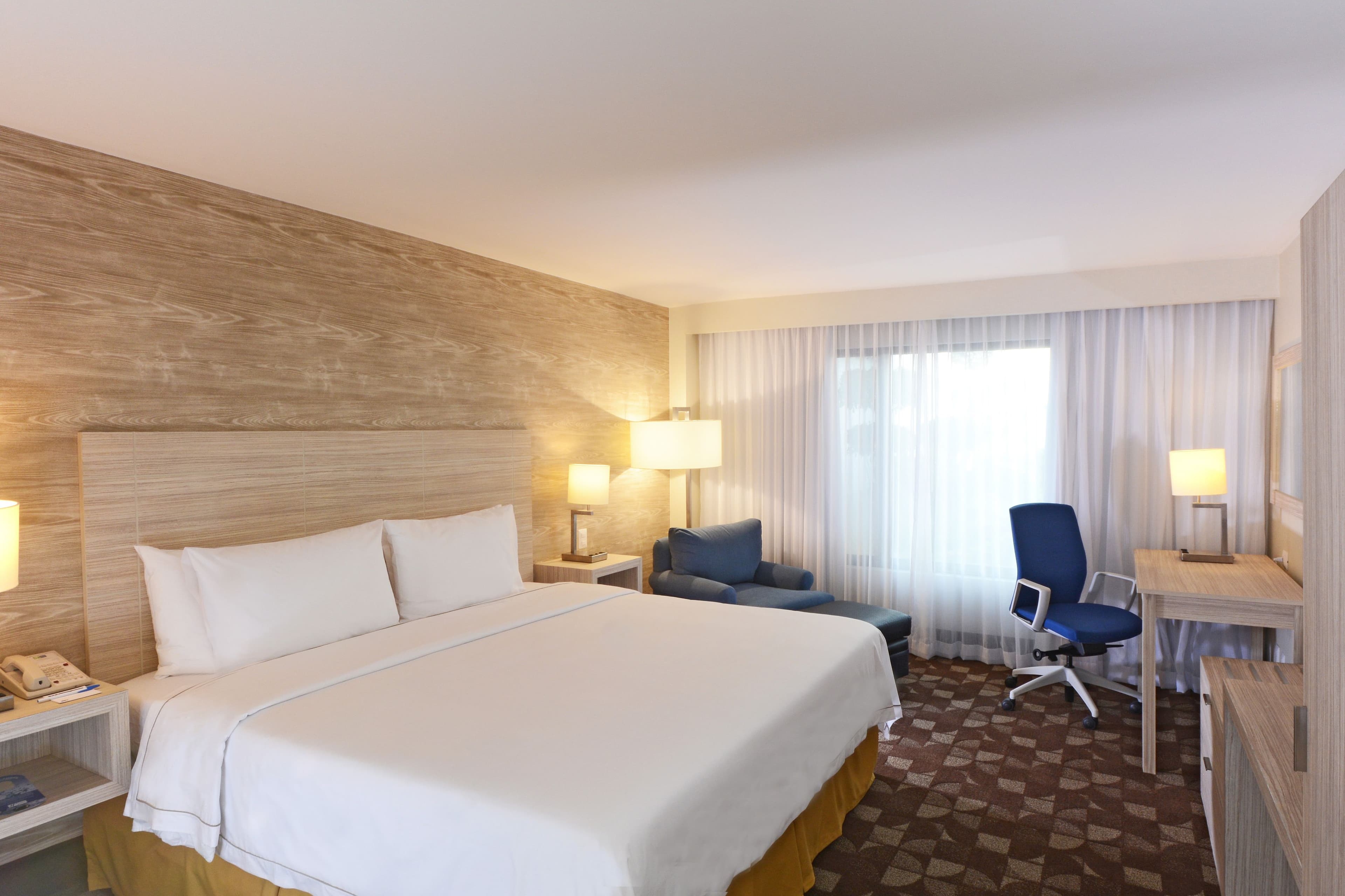 Holiday Inn Express Toluca - Image 3