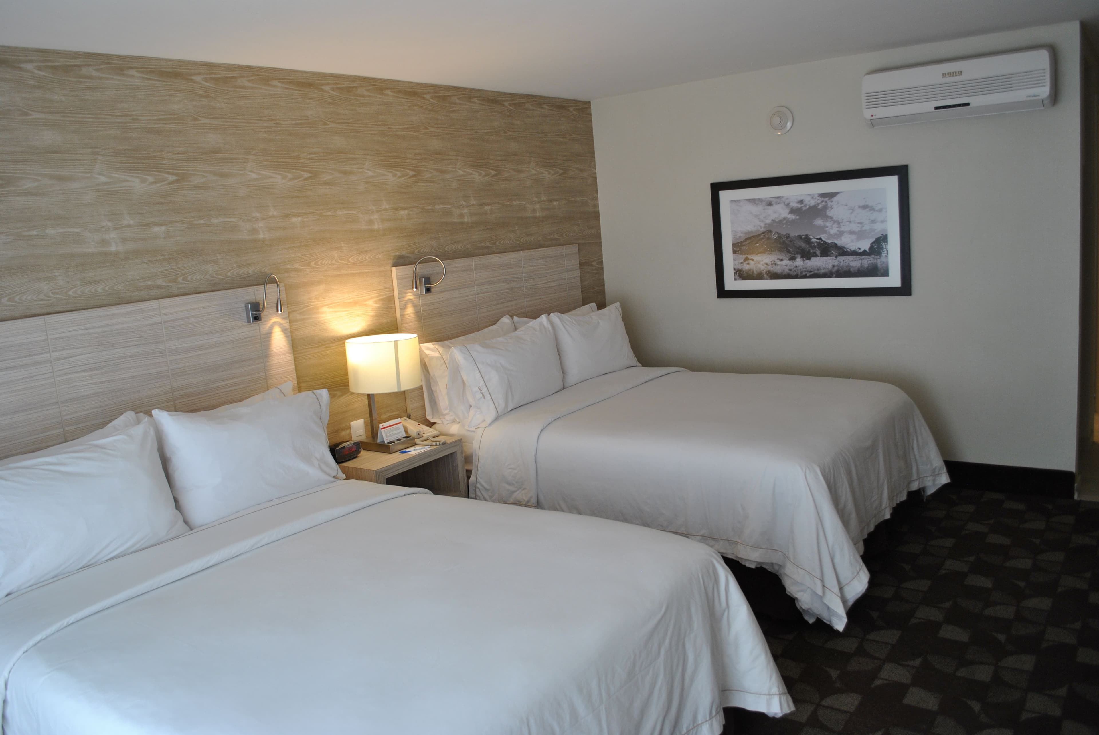 Holiday Inn Express Toluca - Image 4
