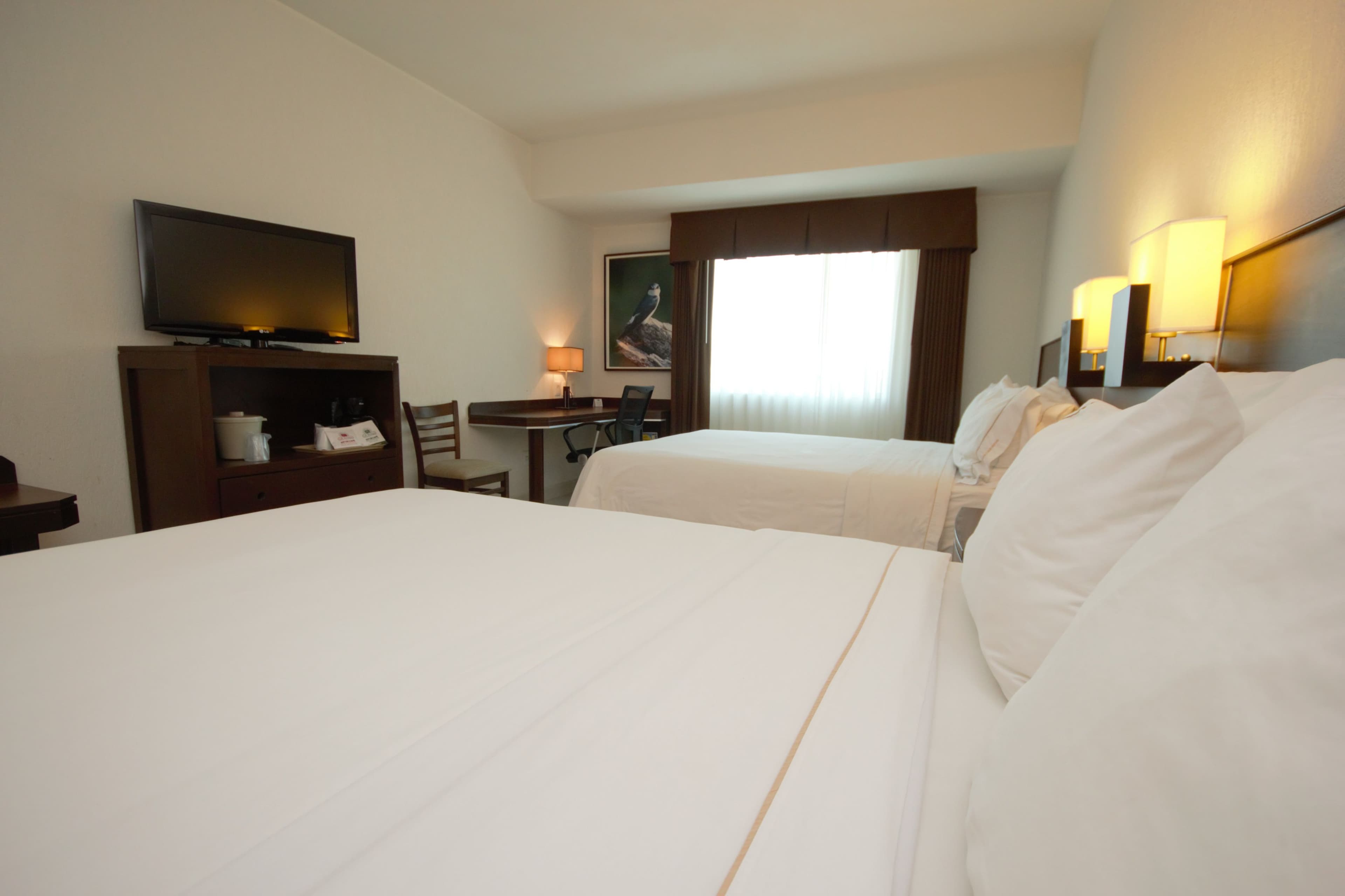 Holiday Inn Express Tuxtla Gutierrez La Marimba — 14