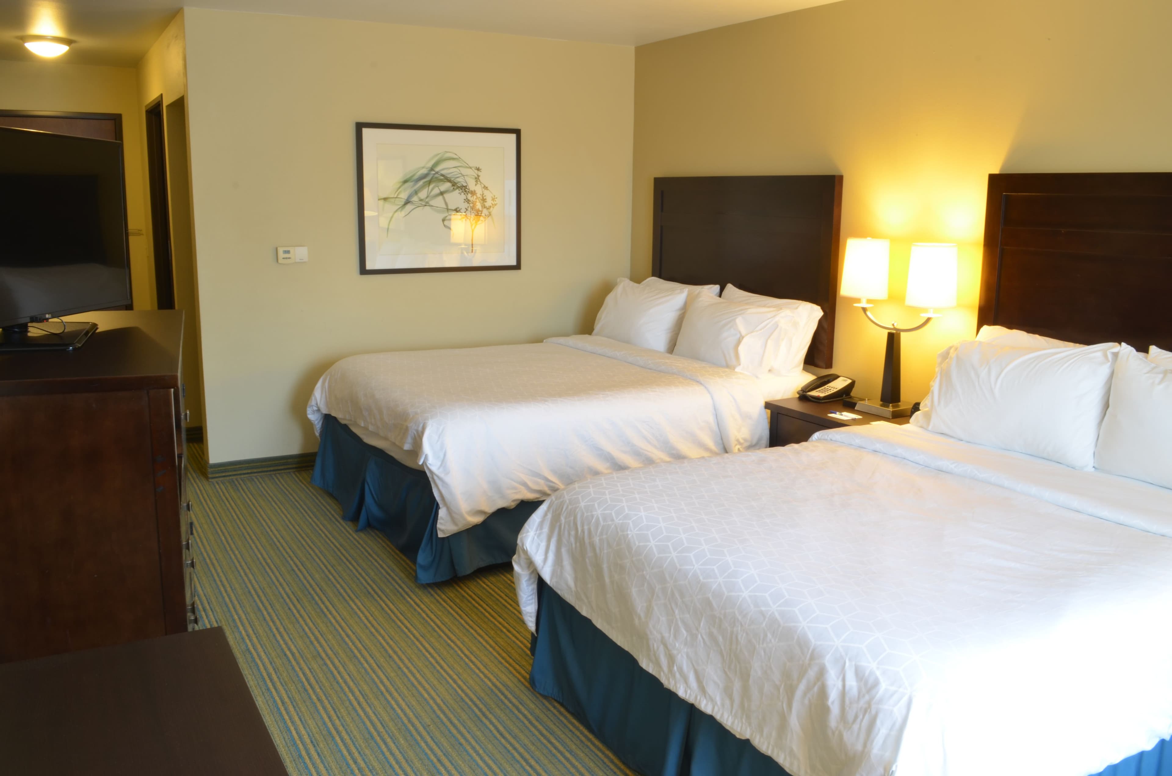 Holiday Inn Express Waterloo-Cedar Falls — 11
