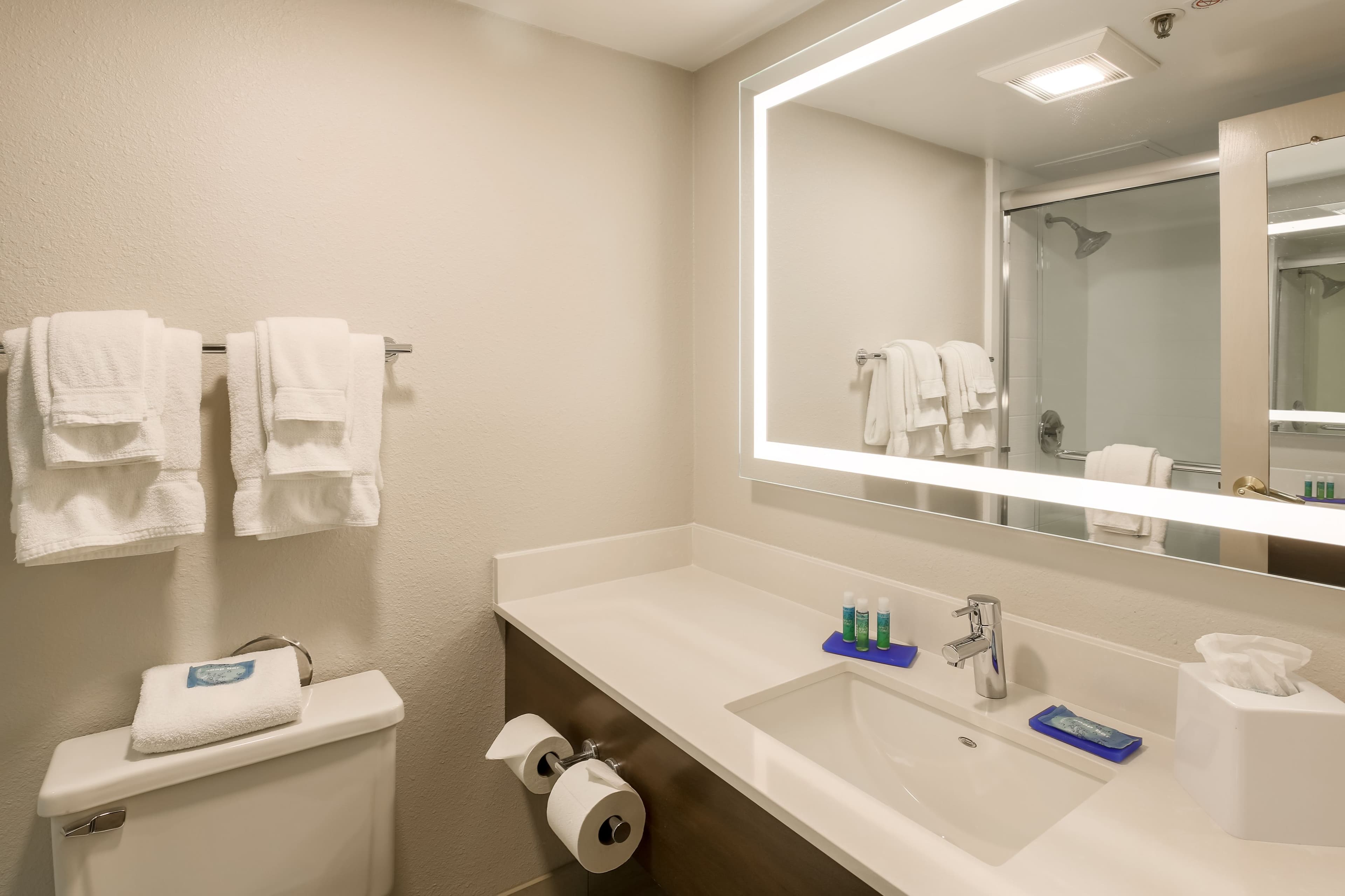 Holiday Inn Express Milwaukee-West Medical Center — 10