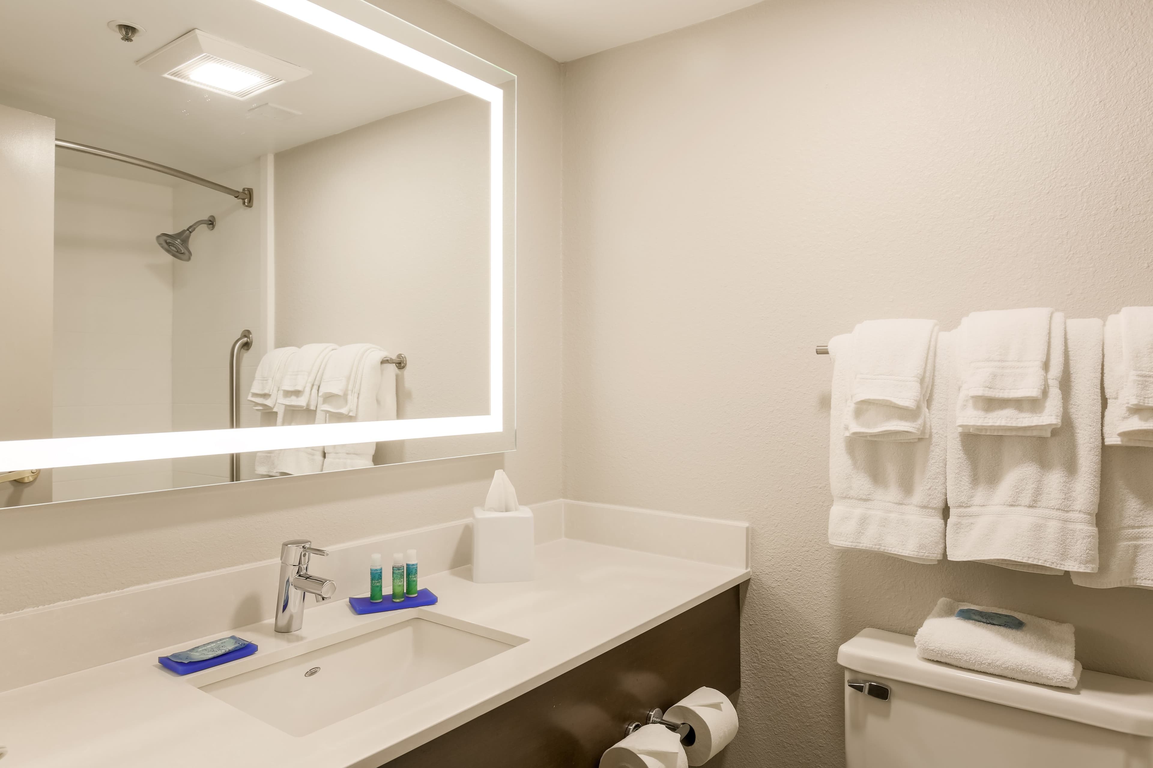 Holiday Inn Express Milwaukee-West Medical Center - Image 4