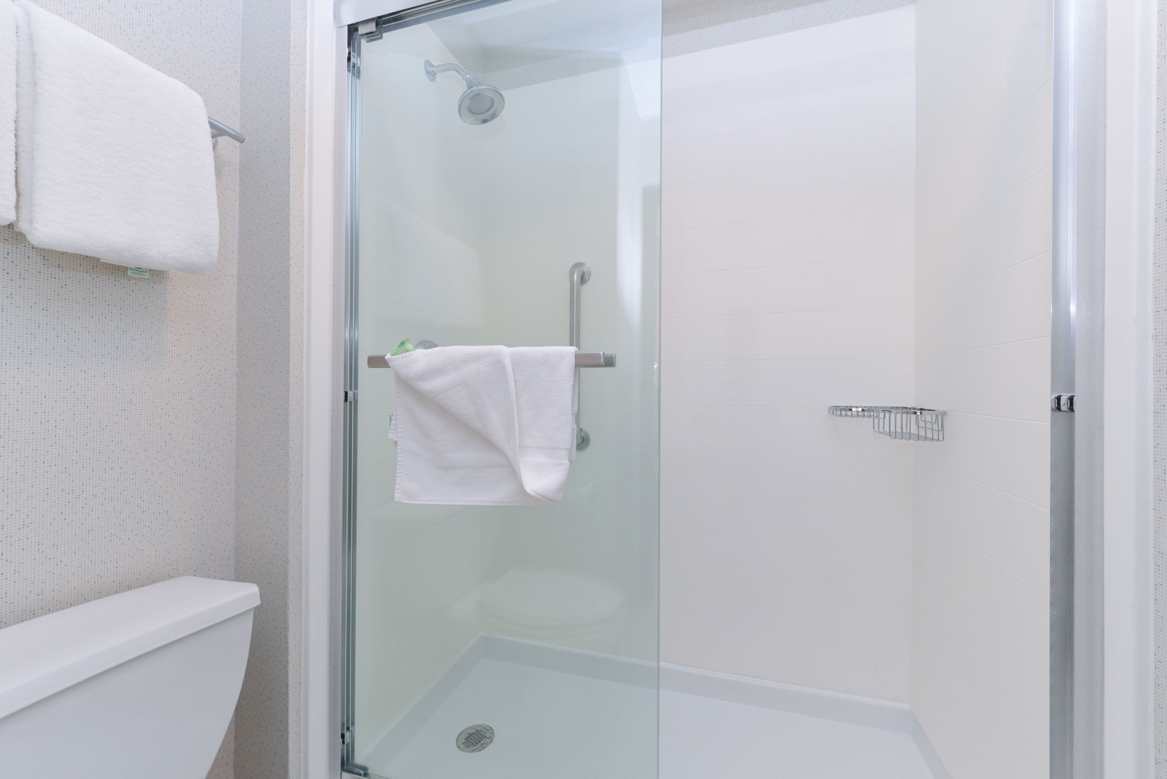 Holiday Inn Express Wixom — 7