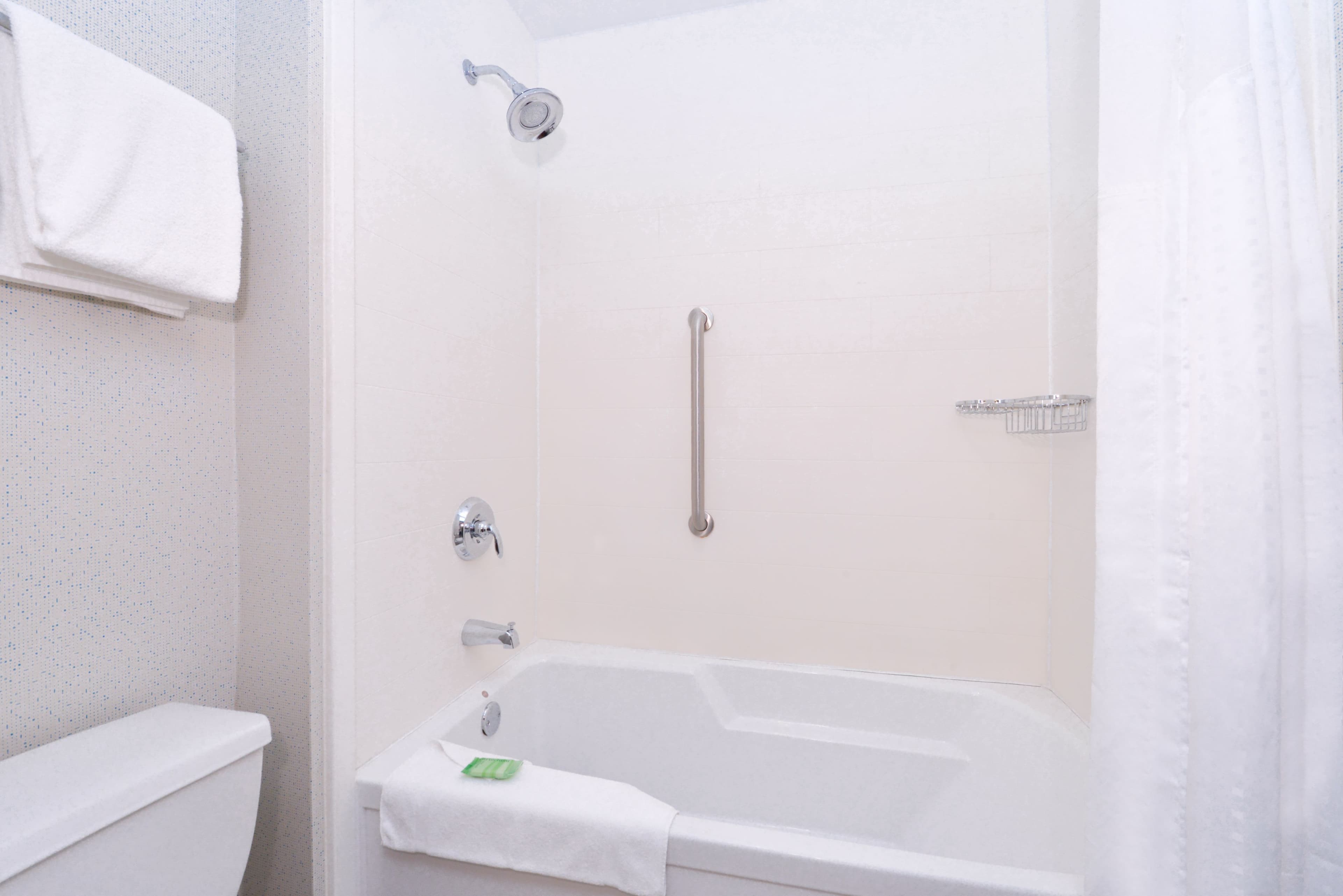 Holiday Inn Express Wixom — 26
