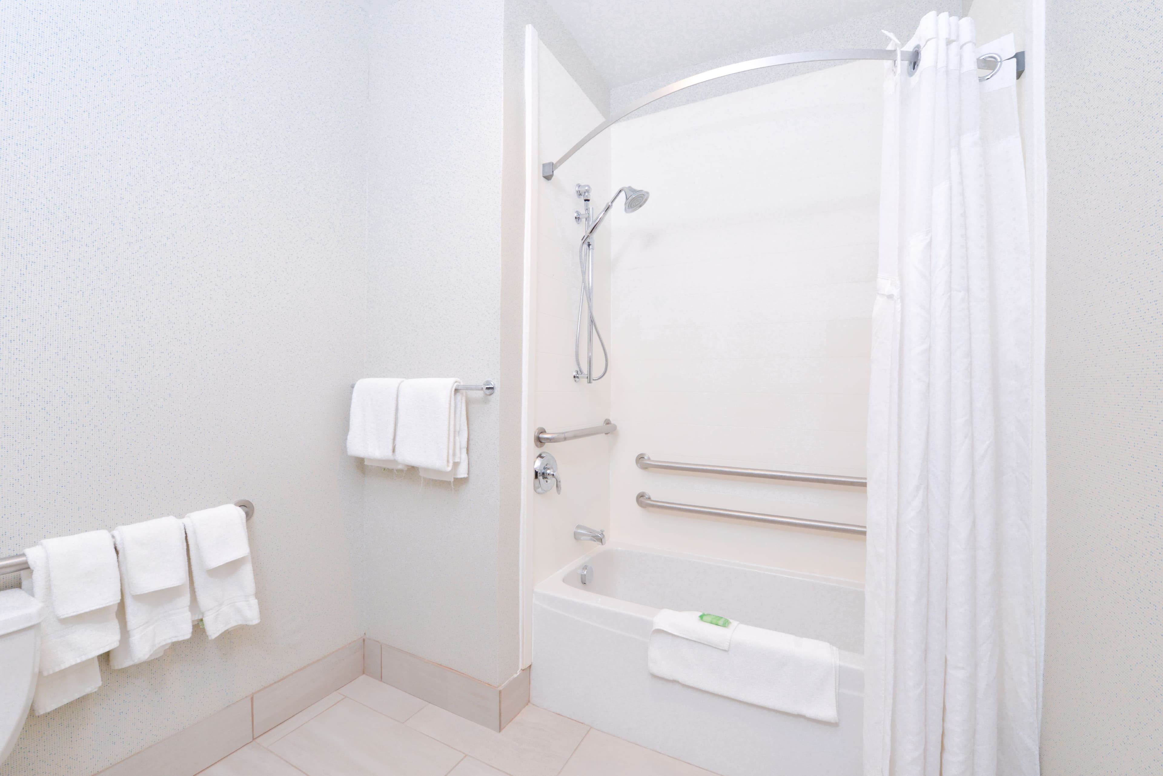 Holiday Inn Express Wixom — 36