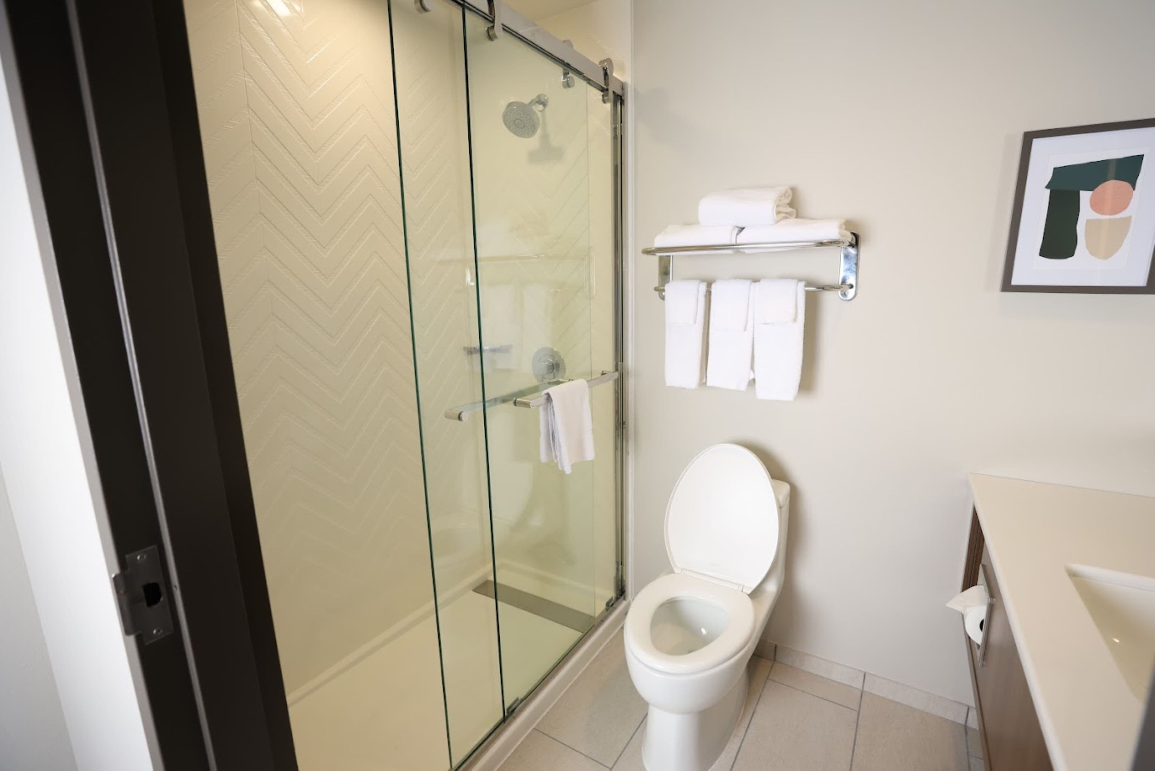 Holiday Inn St. Louis-Fairview Heights — 10
