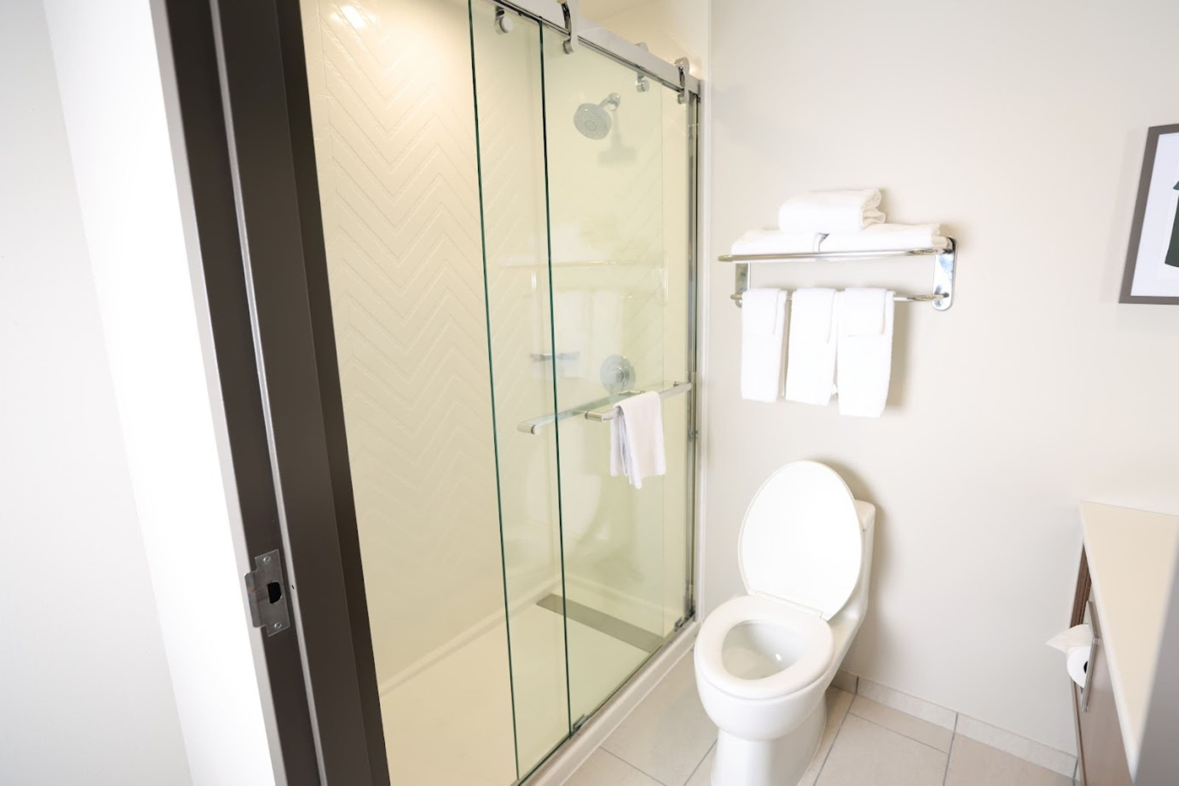 Holiday Inn St. Louis-Fairview Heights — 12