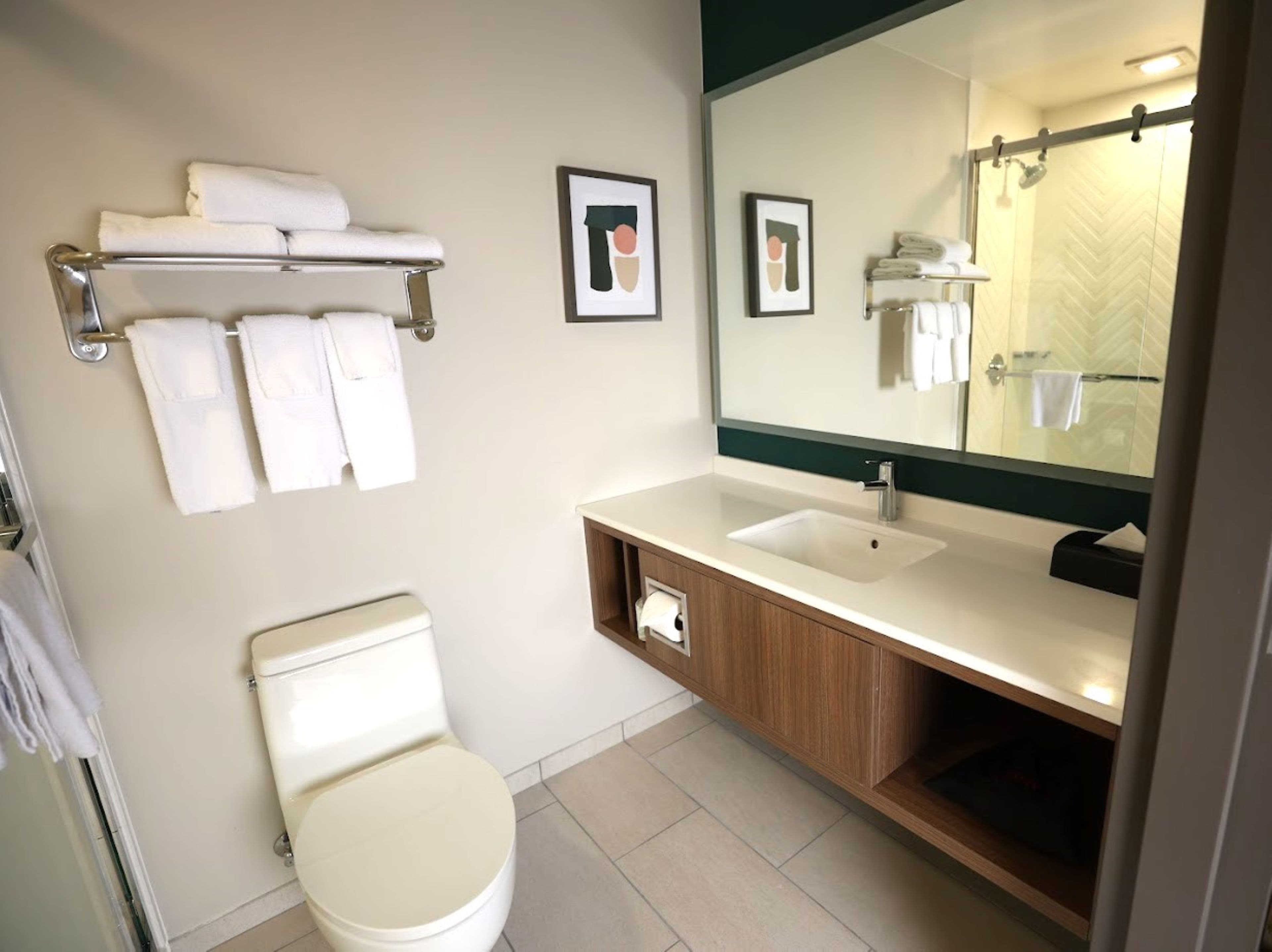 Holiday Inn St. Louis-Fairview Heights — 8