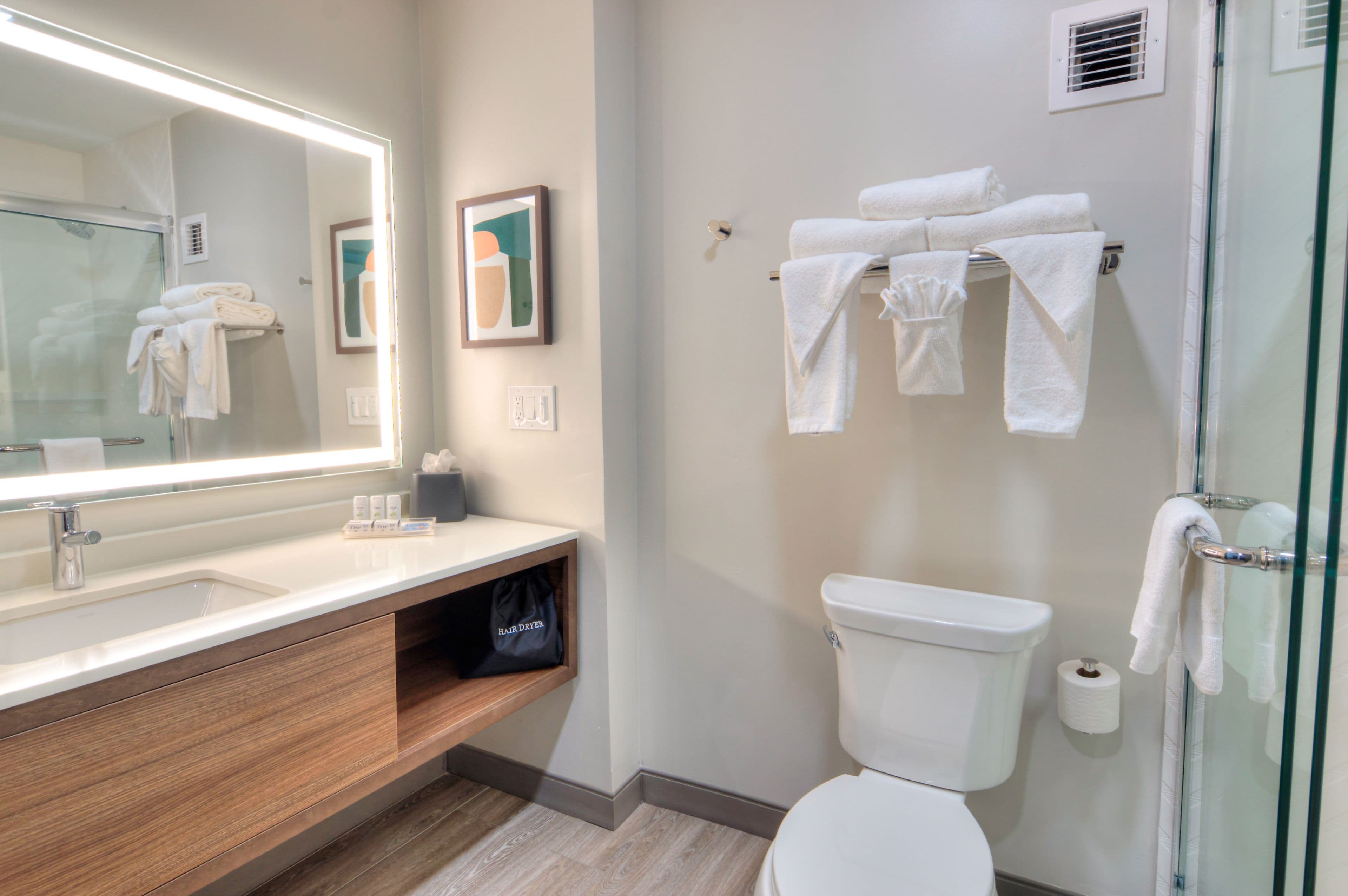 Holiday Inn Gainesville-University Ctr — 10