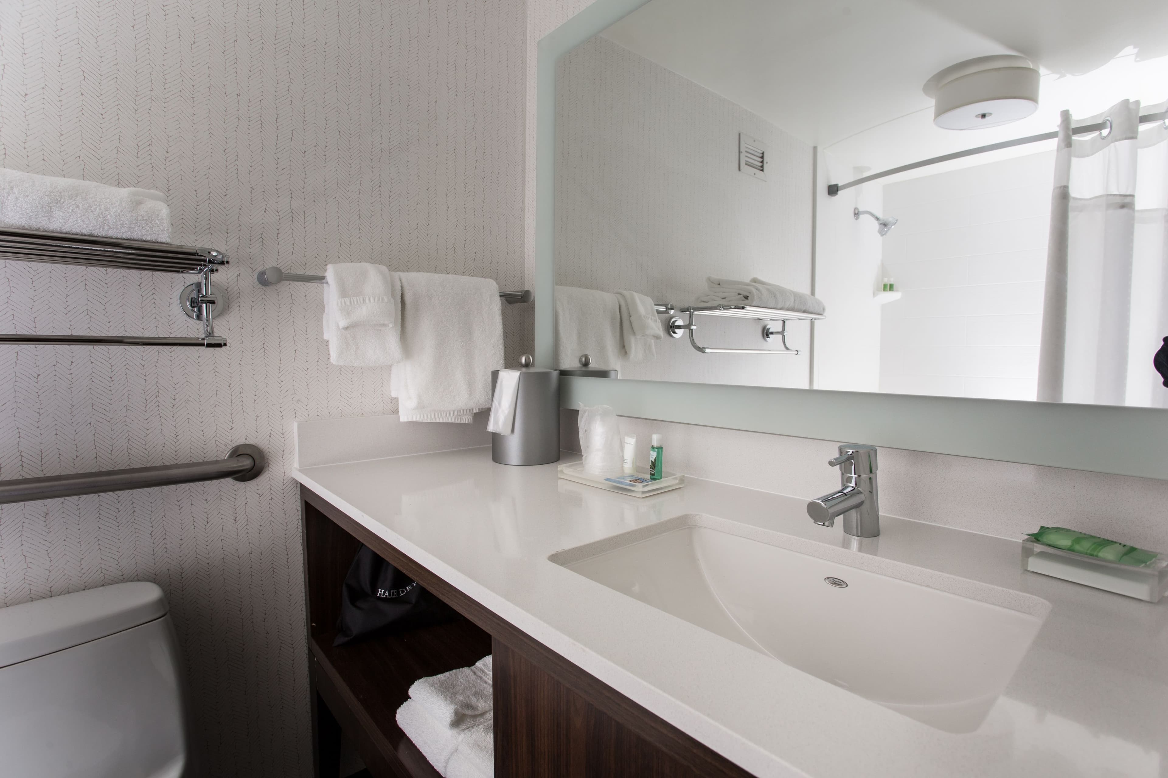 Holiday Inn Grand Rapids Downtown - Image 3