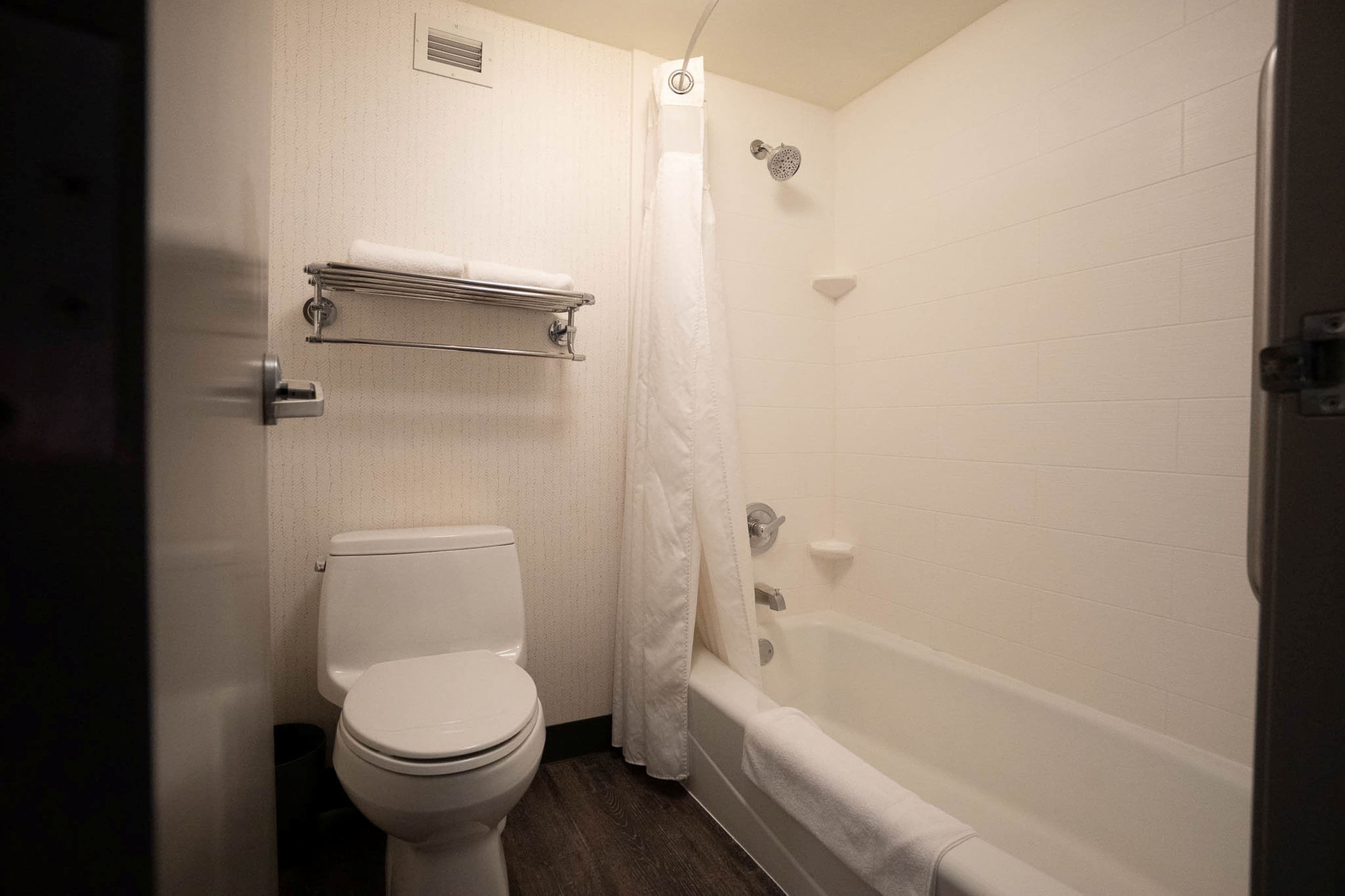 Holiday Inn Grand Rapids Downtown — 11