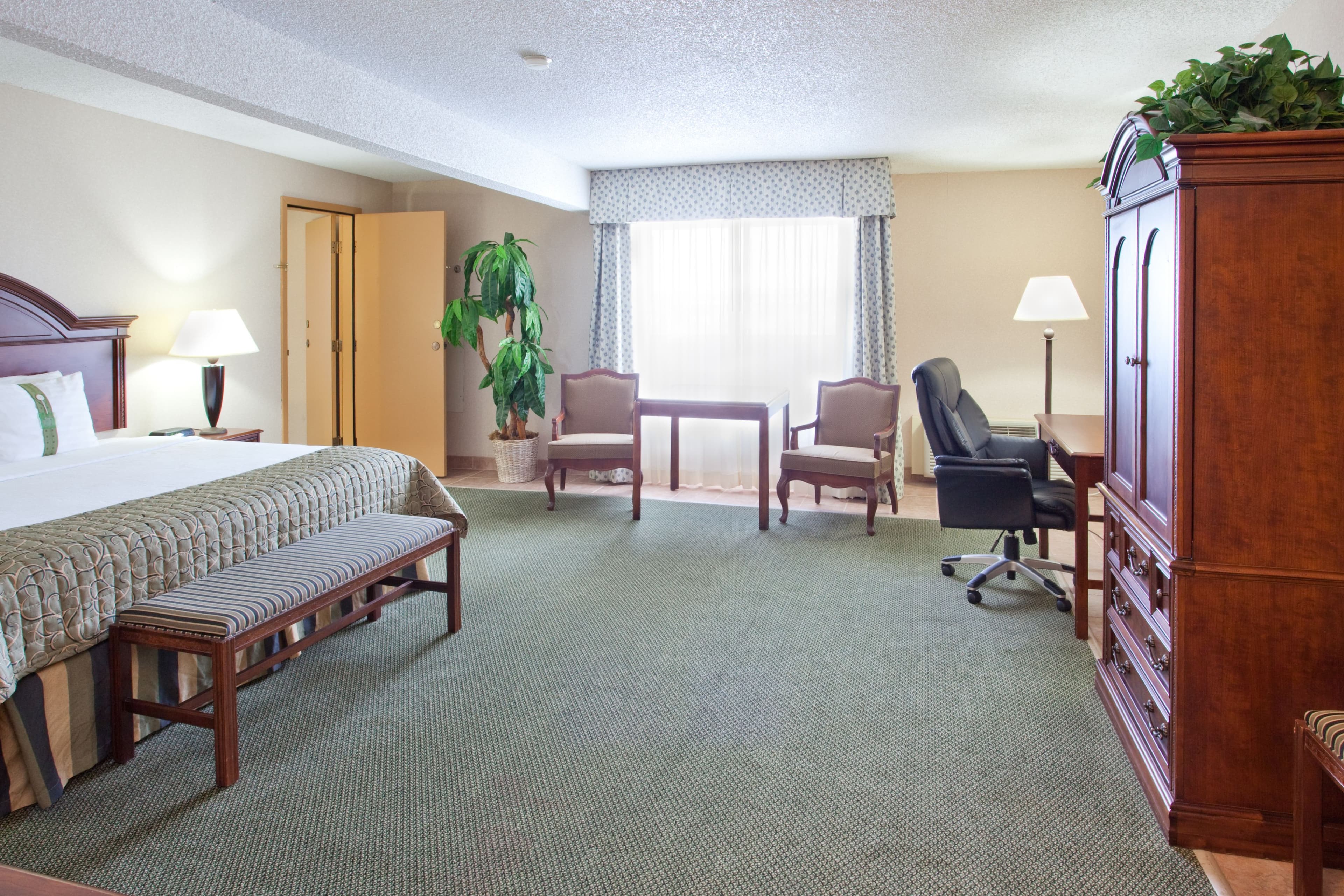 Holiday Inn Great Falls-Convention Center — 11