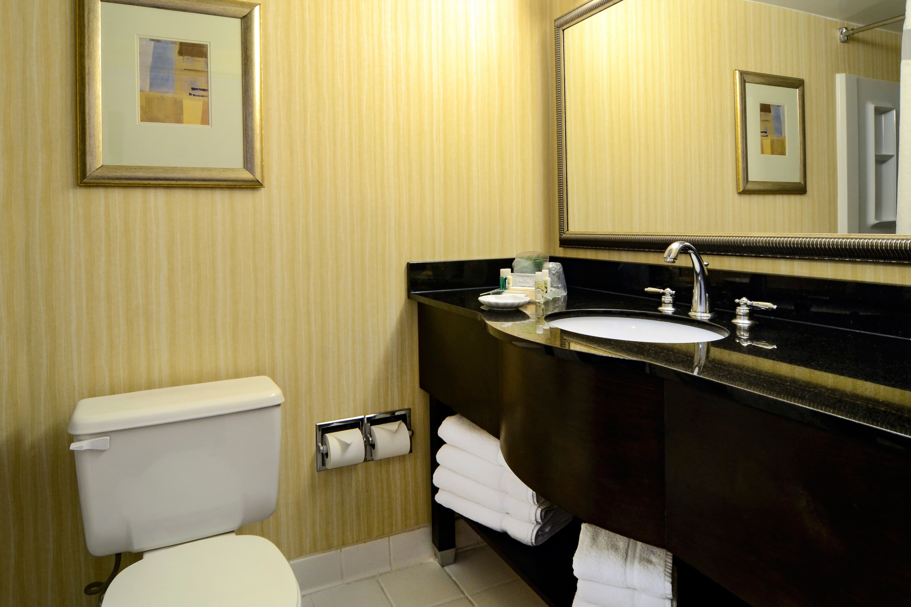 Holiday Inn Washington D.C.-Greenbelt MD — 6