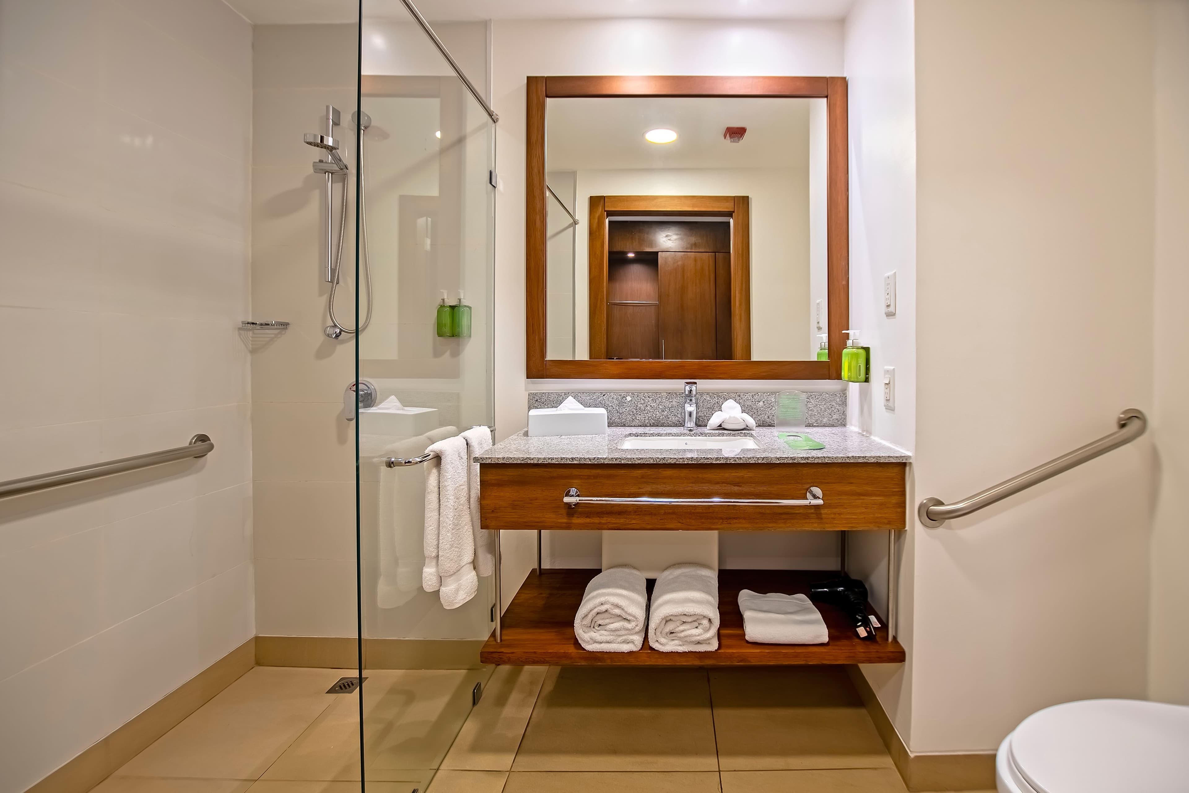 Holiday Inn Guayaquil Airport - Image 5