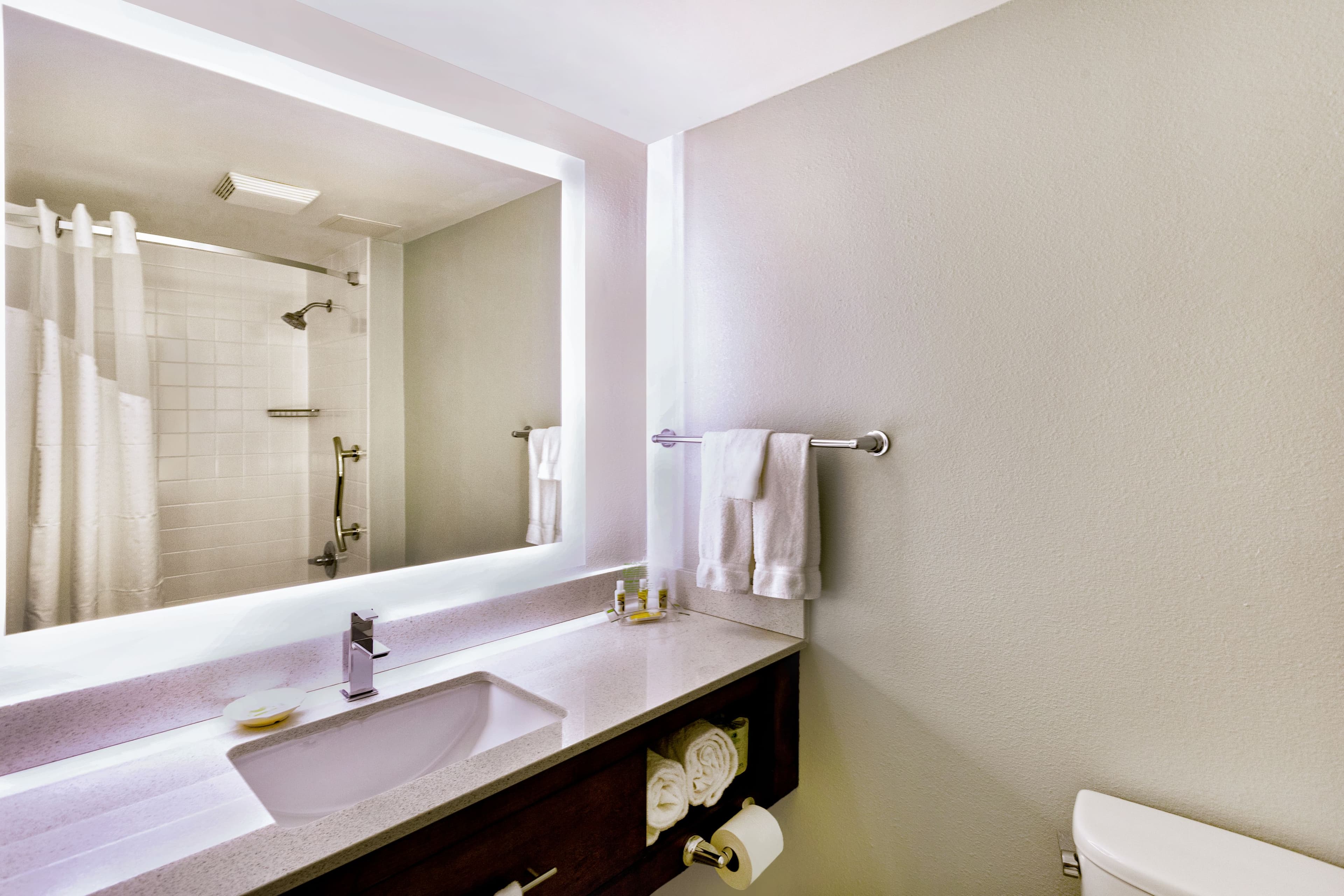 Holiday Inn Miami West - Airport Area - Image 5