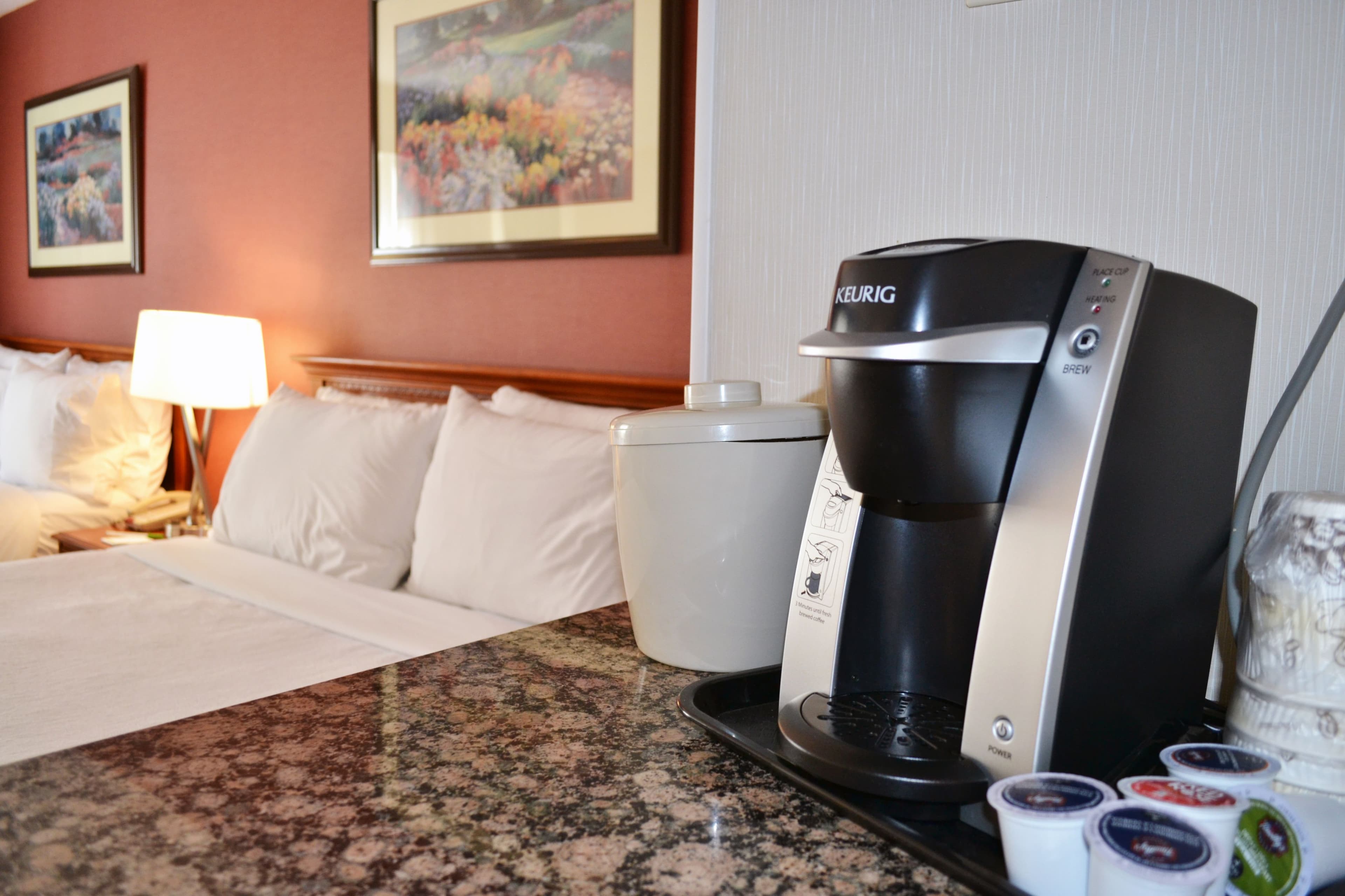 Holiday Inn Hinton — 11