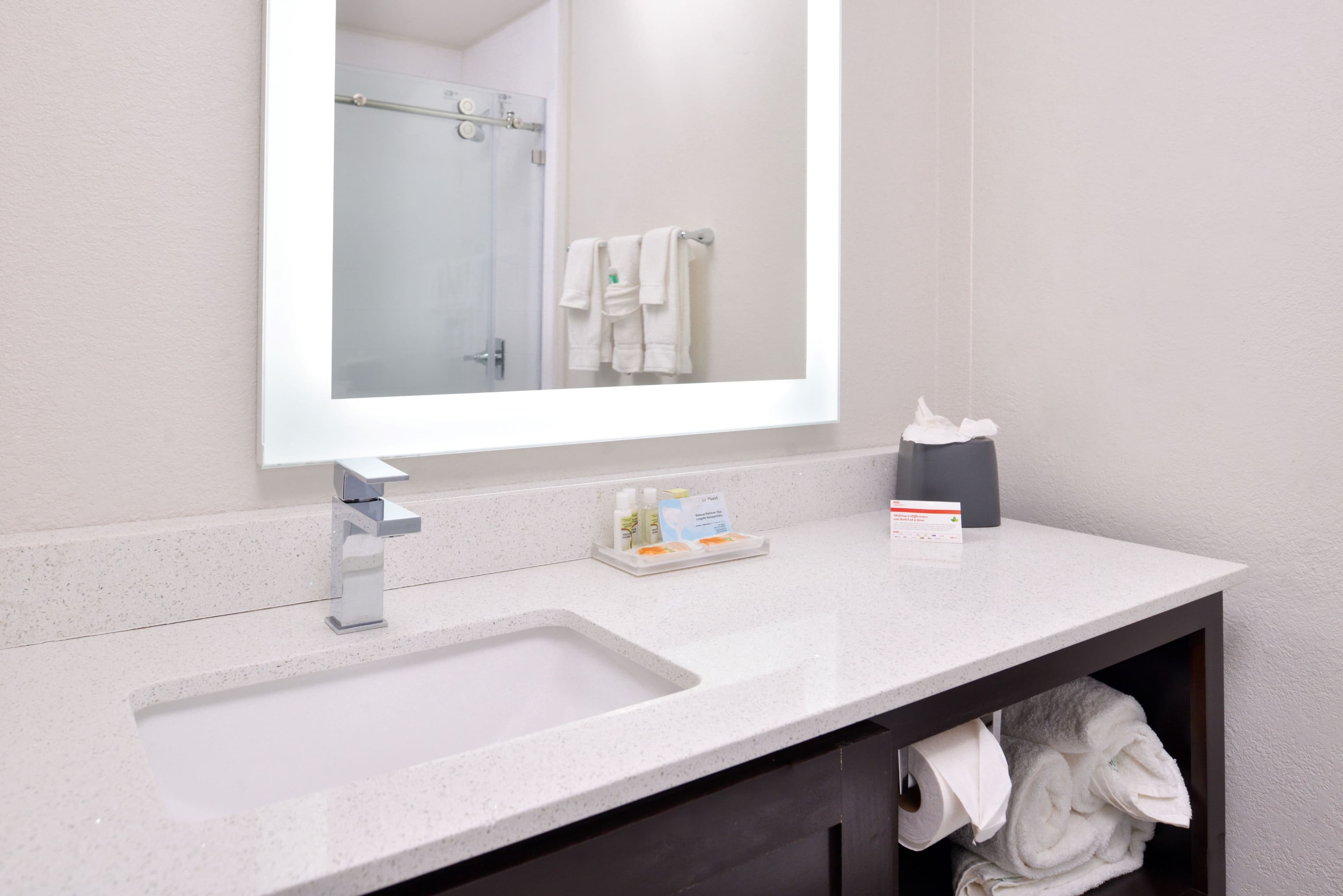 Holiday Inn & Suites Dallas-Addison - Image 3