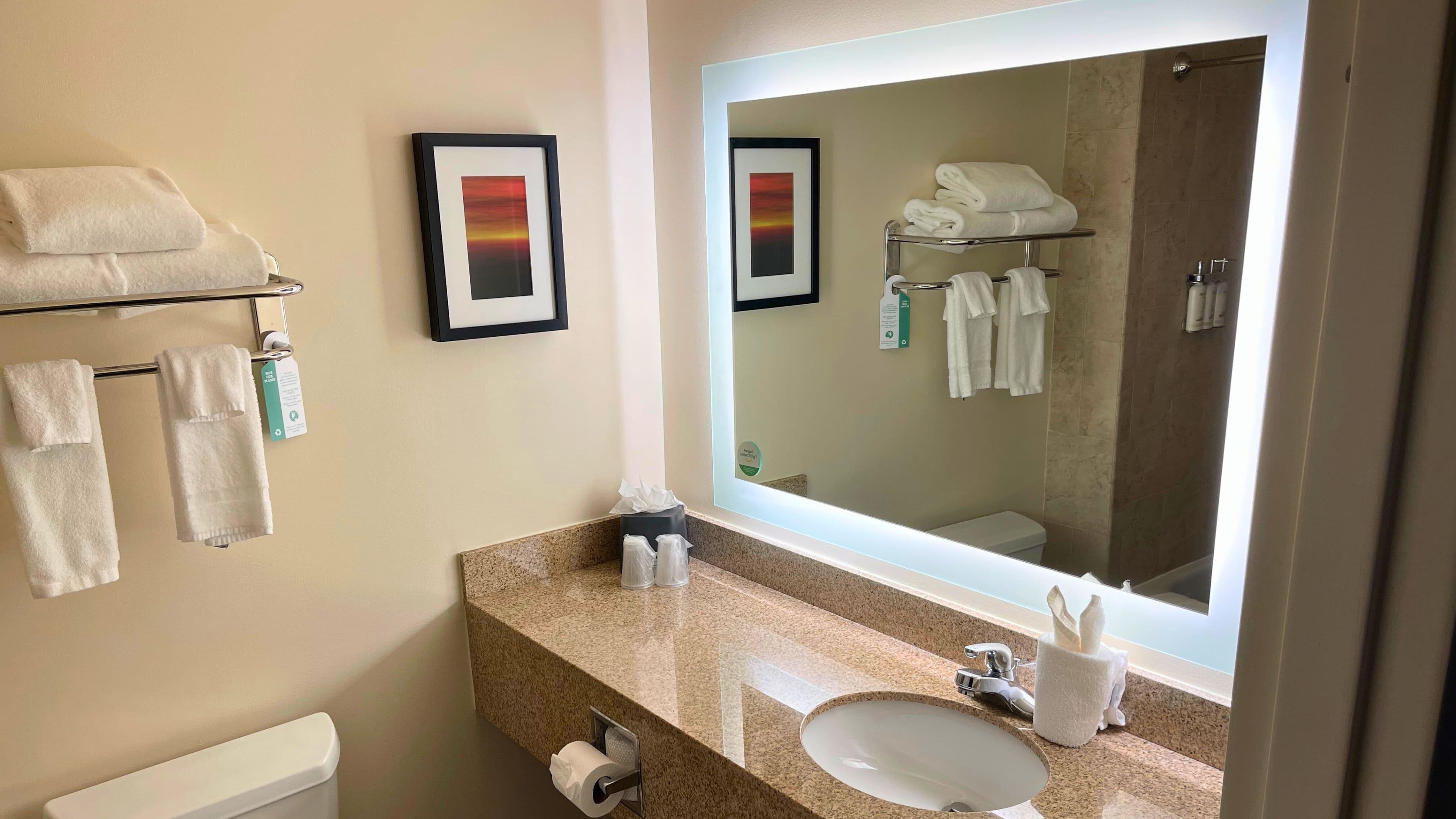 Holiday Inn & Suites Ann Arbor Univ. Michigan Area — 5