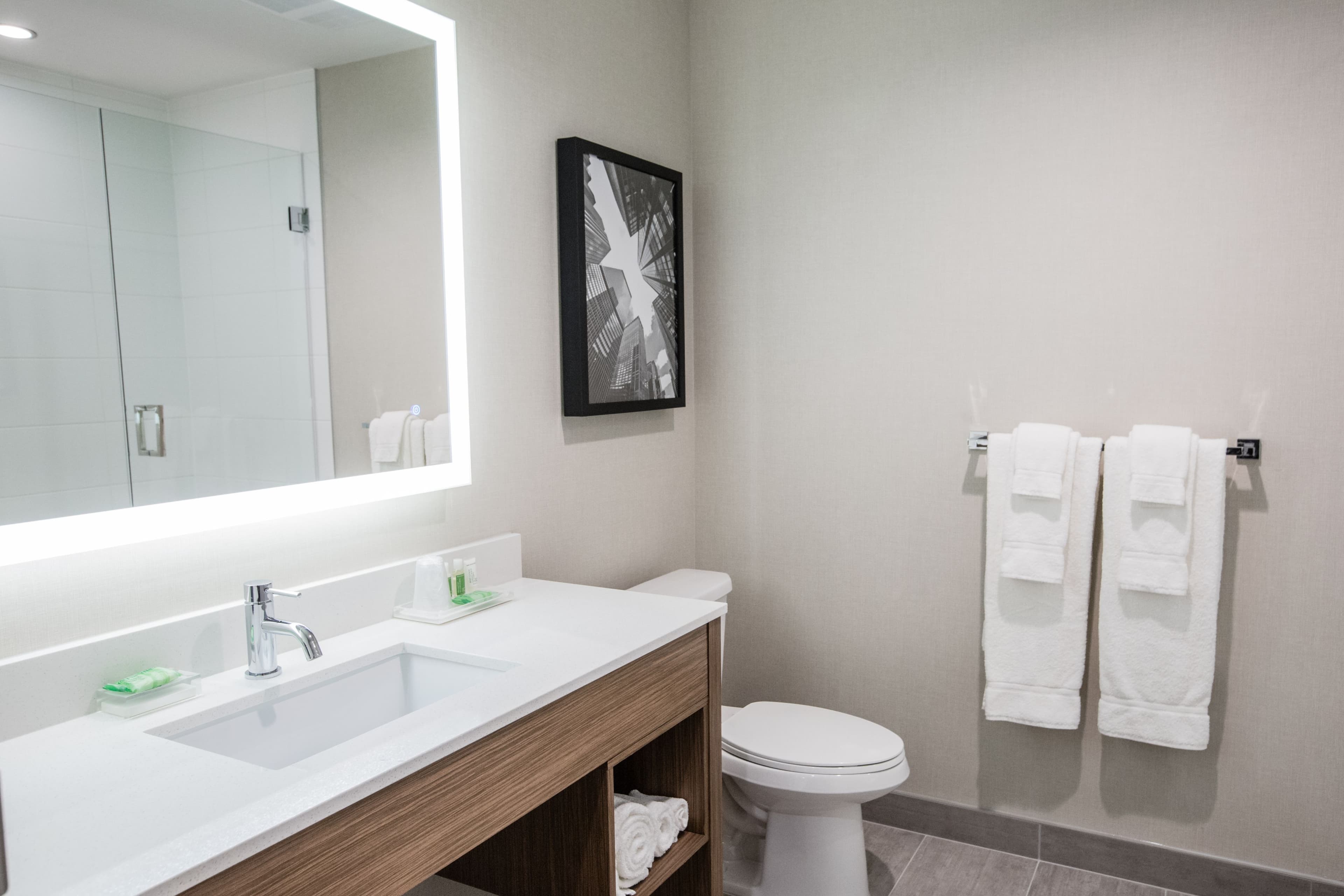 Holiday Inn & Suites Calgary South - Conference Ctr — 9