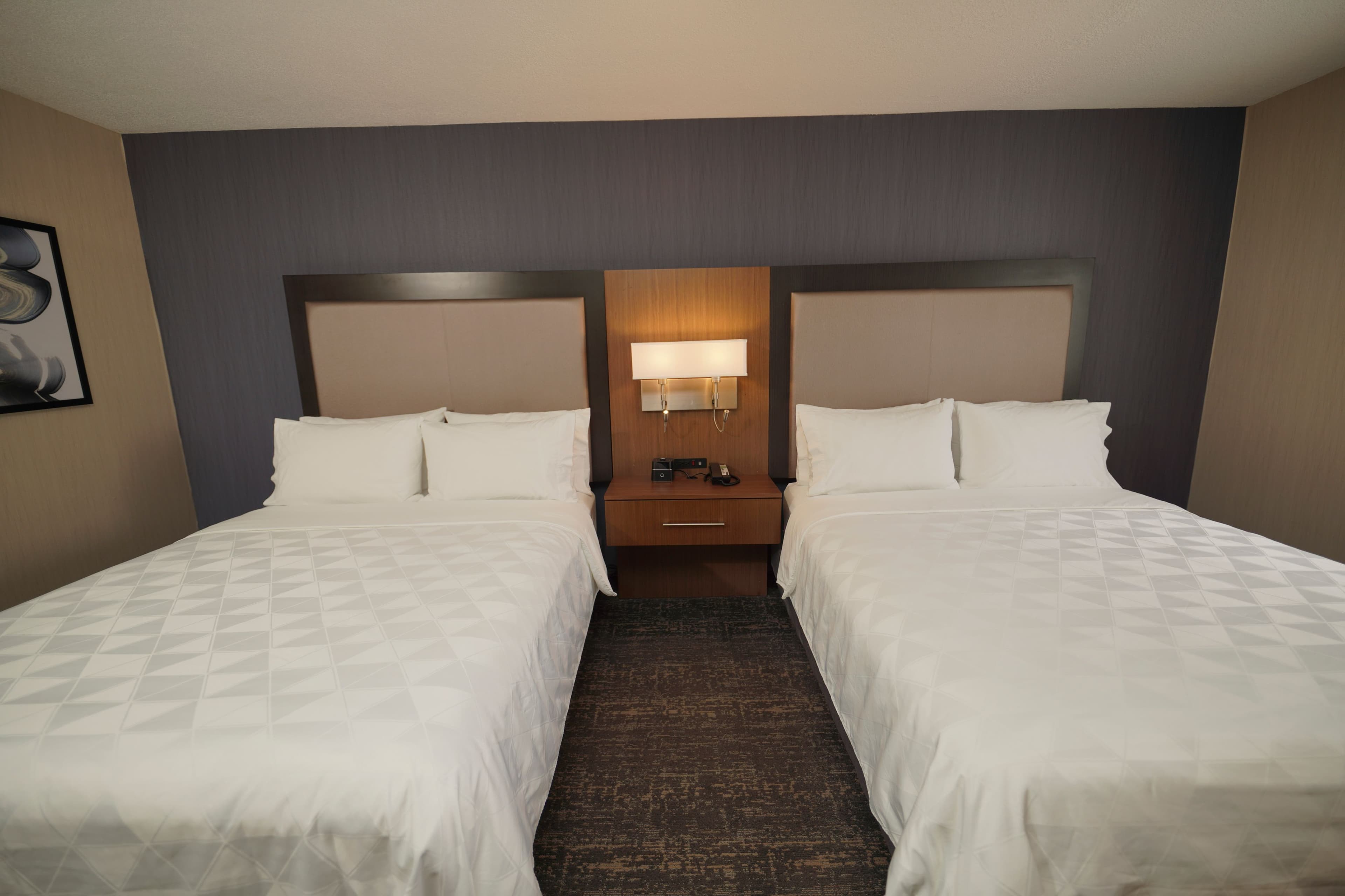 Holiday Inn & Suites Chicago-Carol Stream (Wheaton) — 9