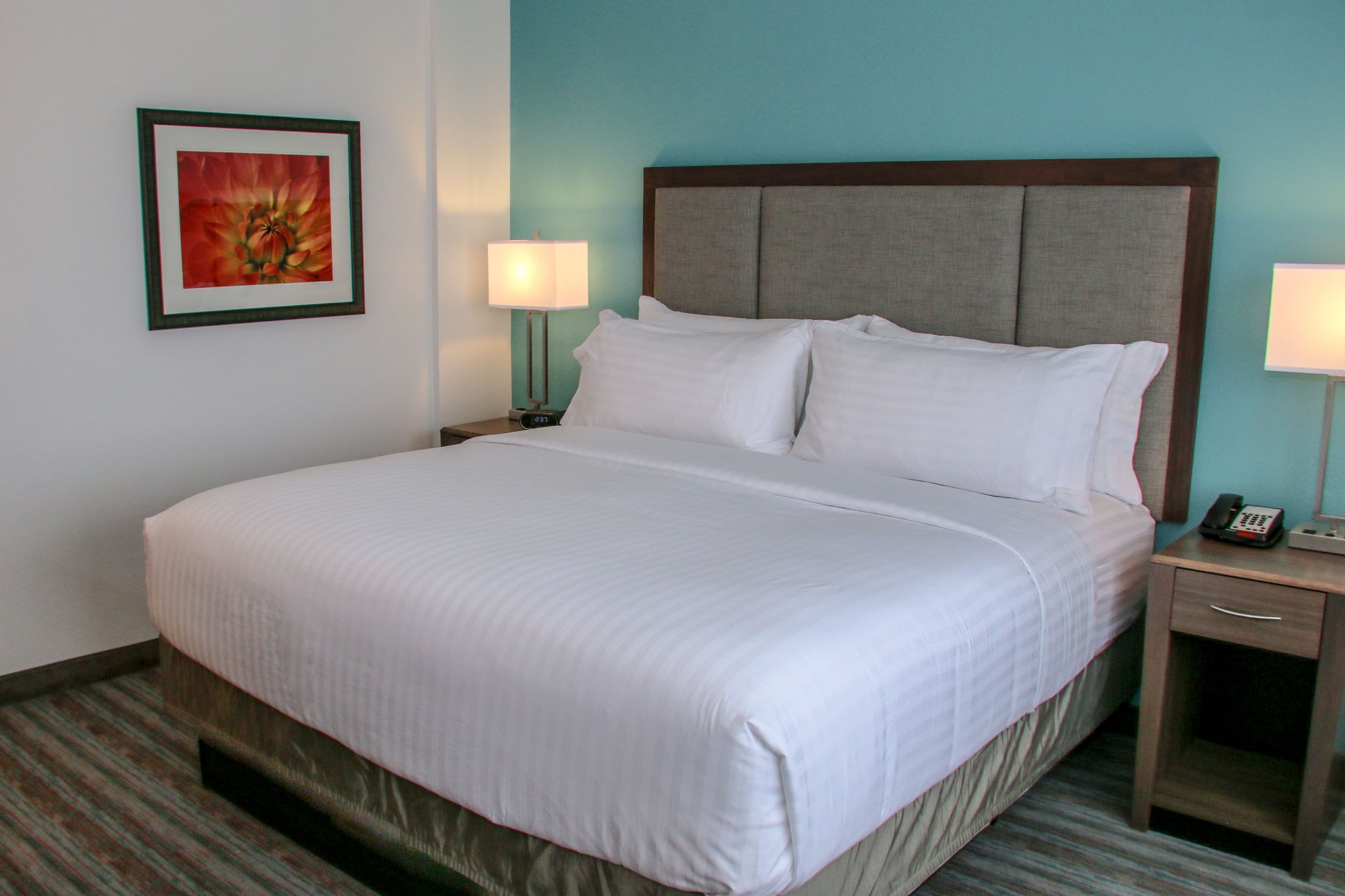 Holiday Inn & Suites Denver Tech Center-Centennial — 6