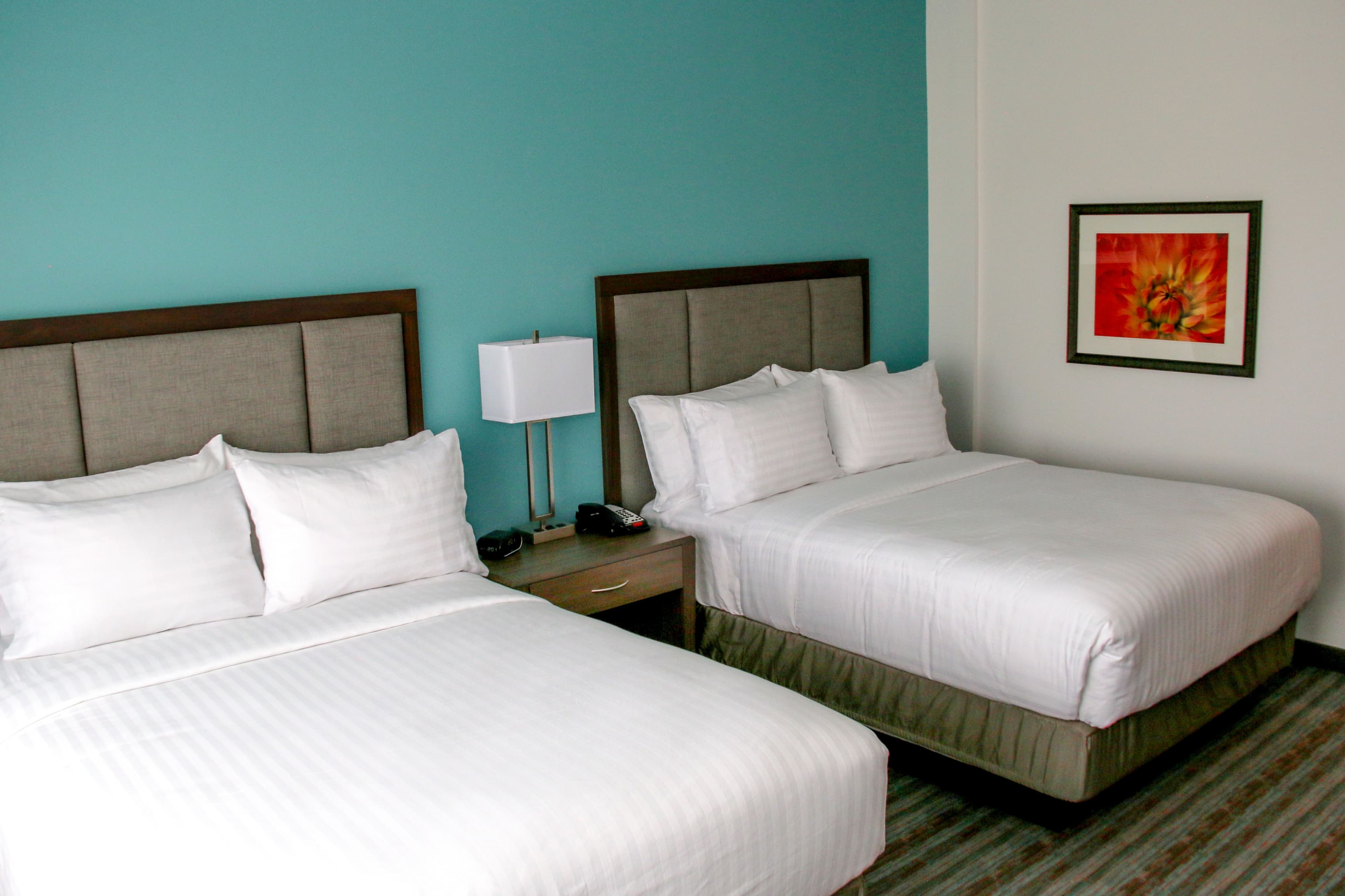 Holiday Inn & Suites Denver Tech Center-Centennial — 21