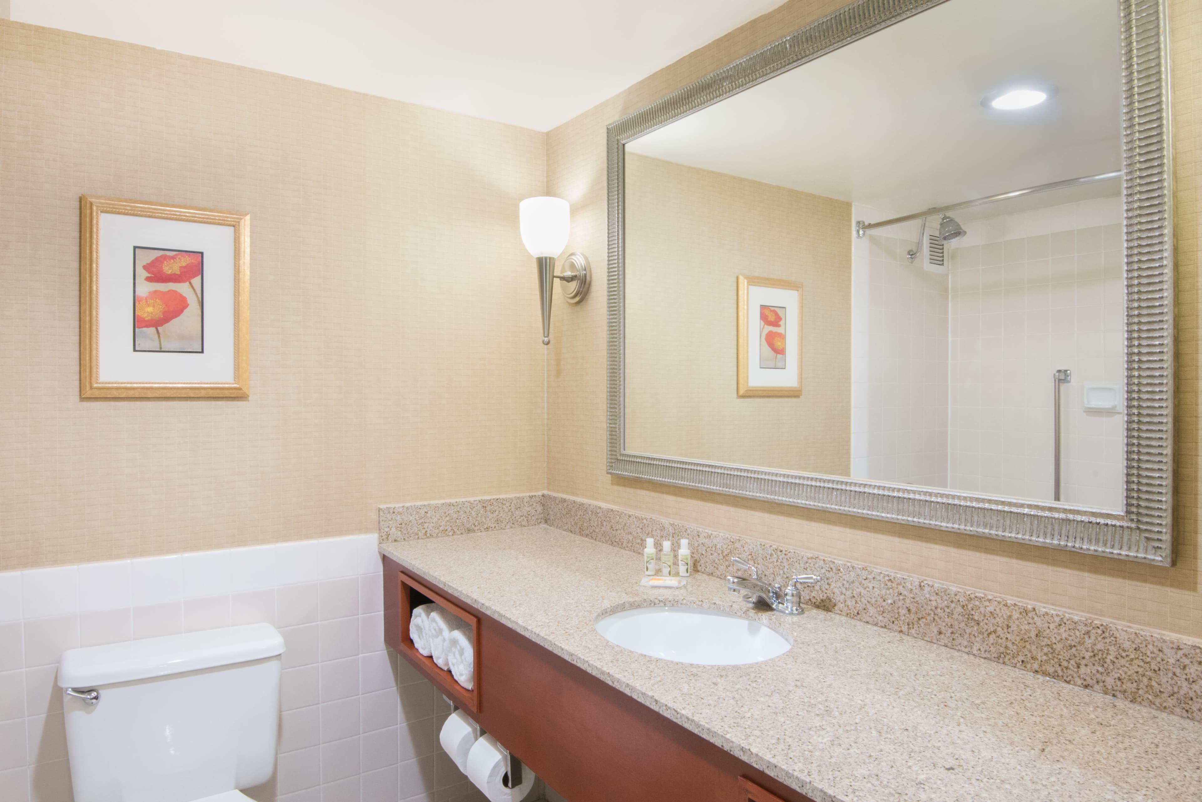 Holiday Inn & Suites Cincinnati-Eastgate (I-275e) — 6