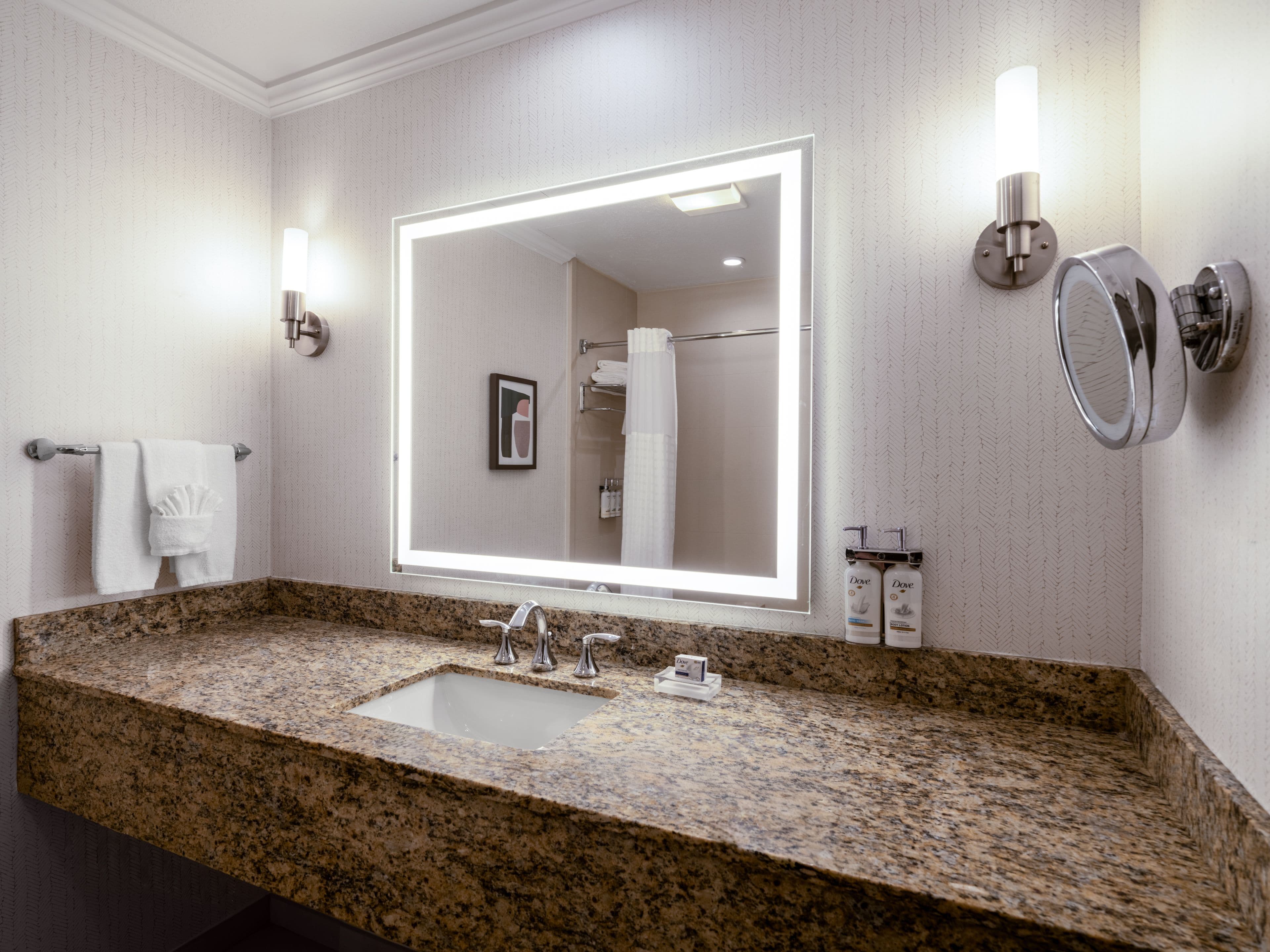 Holiday Inn & Suites Chicago Northwest - Elgin - Image 3
